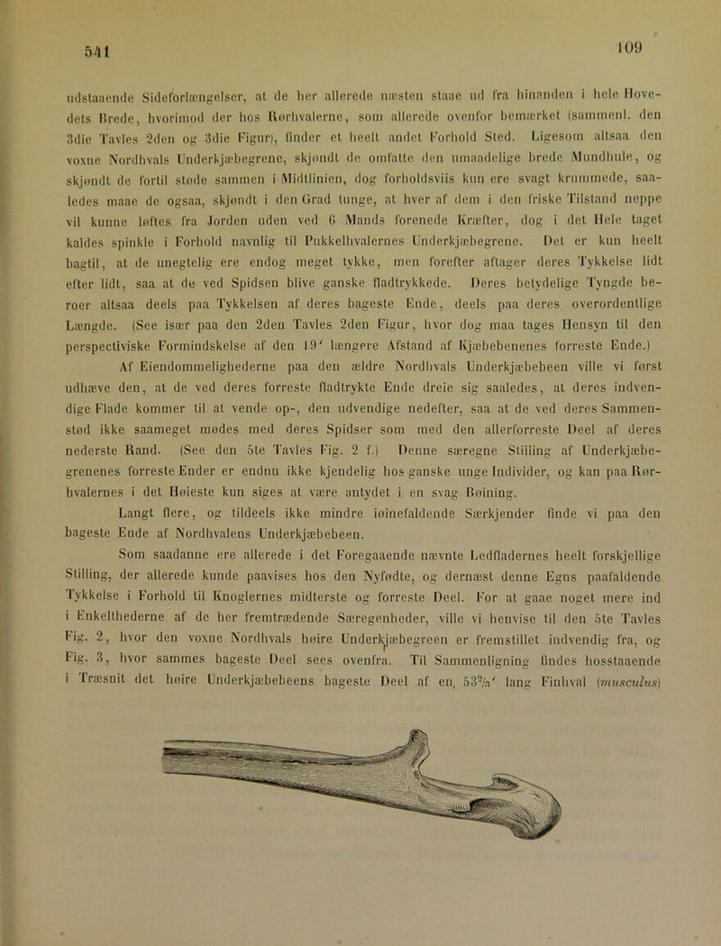 541 mlstaaende Sideforlængelser, at de her allerede næsten staae ud fra hinanden i hele Hove- dets lirede, hvorimod der hos llorhvalernc, som allerede ovenfor bemærket (sammenl. den Sdie Tavles 2den og 3die rignr), finder et heelt andet Korhold Sted. Ligesom altsaa den voxnc Nordhvals Underkjæbegrenc, skjondt de omfatte den nmaadelige brede iVInndhule, og skjøndt de fortil støde sammen i (Midtlinien, dog forholdsviis knn ere svagt krummede, saa- ledes maae de ogsaa, skjøndt i den Grad tunge, at hver af dem i den friske Tilstand neppe vil kunne løftes fra Jorden uden ved 6 Mands forenede Kræfter, dog i det Hele taget kaldes spinkle i Forhold navnlig til Kukkelhvalernes Underkjæbegrene. Det er kun heelt bagtil, at de unegtelig ere endog meget tykke, men forefter aftager deres Tykkelse lidt efter lidt, saa at de ved Spidsen blive ganske lladtrykkede. Deres betydelige Tyngde be- roer altsaa deels paa Tykkelsen af deres bageste Ende, deels paa deres overordentlige Længde. (See især paa den 2den Tavles 2den Figur, hvor dog maa tages Hensyn til den perspectiviske Formindskelse af den 19' længere Afstand af Kjæbebenenes forreste Ende.) Af Eiendommelighederne paa den ældre Nordhvals Underkjæbebeen ville vi først udhæve den, at de ved deres forreste fladtrykte Ende dreie sig saaledes, at deres indven- dige Flade kommer til at vende op-, den udvendige nedefter, saa at de ved deres Sammen- stød ikke saameget mødes med deres Spidser som med den allerforreste Deel af deres nederste Rand. (See den 5te Tavles Fig. 2 f.) Denne særegne Stilling af Underkjæbe- grenenes forreste Ender er endnu ikke kjendelig hos ganske unge Individer, og kan paa Rør- hvalernes i det Høieste kun siges at være antydet i en svag Bøining. Langt flere, og tildeels ikke mindre iøinefaldende Særkjender finde vi paa den bageste Ende af Nordhvalens Underkjæbebeen. Som saadanne ere allerede i det Foregaaende nævnte Ledfladernes heelt forskjellige Stilling, der allerede kunde paavises hos den Nyfødte, og dernæst denne Egns paafaldende Tykkelse i Forhold til Knoglernes midterste og forreste Deel. For at gaae noget mere ind i Enkelthederne af de her fremtrædende Særegenheder, ville vi henvise til den ote Tavles Fig. 2, hvor den voxne Nordhvals høire Underkjæbegreen er fremstillet indvendig fra, og Fig. 3, hvor sammes bageste Deel sees ovenfra. Til Sammenligning findes hosstaaende i Træsnit det høire Underkjæbebeens bageste Deel af en. SS'/.i' lang Finhval (7?iusct/.lus)