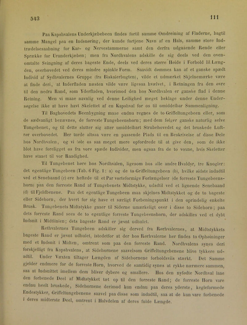 543 l’aa Kapslivalens Underkjæbebeen (bules l'orlil samme Omdreining al' Fladerne, bagtil samme iMangel paa en Indsnoring, der kunde fortjene Navn af en Ilals, samme store lud- traulelsesaabning for Kar- og Nervestammerne samt den derfra ndgaaende Ilende eller Sprække for Urunderkjæben; men fra Nordbvalens adskille de sig deels ved den oven- omtalte Svingning af deres bageste Ende, deels ved deres større Høide i Forbold lif Læng- den, overbovedet ved deres mindre spinkle Form. Saavidt dømmes kan af et ganske spædt Individ af Sydbvalernes Gruppe (fra lliskaierbngten), vilde et udmærket Skjelnemærke være al finde deri, at Inderfladen næsten vilde være ligesaa hvælvet, i Retningen fra den øvre til den nedra Rand, som Yderfiaden, hvorimod den hos Nordbvalen er ganske fiad i denne Retning. .Men vi maae navnlig ved denne Leiligbed meget beklage under denne Under- søgelse ikke at have havt Skelettet af en Kapsbval for os til umiddelbar Sammenligning. Til Baghovedets Beenbygning maae endnu regnes de lo GrilTeltungebeen eller, som de sædvanligt benævnes, de forreste Tungebeenshorn; med dem følger ganske naturlig selve Tungebenet, og til dette slutter sig atter umiddelbart Strubehovedet og det bruskede Luft- rør overhovedet. Her turde altsaa være en passende Plads til en Beskrivelse af disse Dele hos Nordhvalen, og vi føle os saa meget mere opfordrede til at give den, som de ikke blot have foreligget os fra vore spæde Individer, men ogsaa fra de to voxne, hvis Skeletter have staaet til vor Raadighed. Til Tnngebenet høre hos Nordhvalen, ligesom hos alle andre Hvaldyr, tre Knogler: det egentlige Tungebeen (Tab. 6 Fig. 1: a) og de to Griffellungebeen (b), hvilke sidste indadtil ved et Senebaand (c) ere heftede til et Par vorteformige Forlængelser (de forreste Tungebeens- horn) paa den forreste Rand af Tungebenets Midtstykke, udadtil ved et lignende Senebaand (d) til Fjeldbenene. Paa det egentlige Tungebeen maa skjelnes Midtstykket og de to bageste eller Sidehorn, der hvert for sig have et særligt Forbeningspunkt i den oprindelig enkelte Brusk. Tungebenets Midtstykke gaaer til Siderne umærkeligt over i disse to Sidehoru; paa dets forreste Rand sees de to egentlige forreste Tungebeenshorn, der adskilles ved et dybt Indsnit i Midtlinien; dets bageste Rand er jævnt udhulet. Rethvalernes Tungebeen adskiller sig derved fra Rørhvalernes, at Midtstykkets bageste Rand er jævnt udhulet, istedetfor at der hos Rørhvalerne her findes to Ophoininger med et Indsnit i Midten, omtrent som paa den forreste Rand. Nordhvalens synes deri forskjelligt fra Kapshvalens, at Sidehornene saavelsom GrilTeltnngebenene blive tykkere ud- adtil. Under Væxten tiltager Længden af Sidebornene forboldsviis stærkt. Det Samme gjelder endmere for de forreste Horn, hvorved de samtidig synes al rykke nærmere sammen, saa at Indsnittet imellem dem bliver dybere og smallere. Hos den nyfødte Nordhval laae den forbenede Deel af Midlstykket tæl op til den forreste Rand; de forreste Horn vare endnu heelt bruskede. Sidehornene derimod kun endnu paa deres yderste, kegleformede Lndestykker, Grilleltungcbenene saavel paa disse som indadtil, saa at de kun vare forbenede I deres midterste Deel, omtrent i Halvdelen af deres fulde Længde.