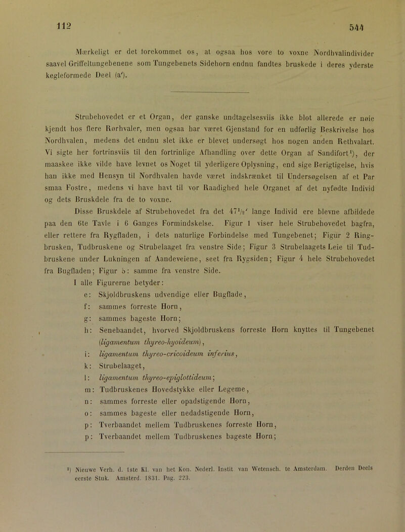 544 Mærkeligt er det torekommet os, al ogsaa hos vore to voxne Nordhvalindivider saavel Griffeltungebenene som Tungebenets Sidehorn endnu fandtes bruskede i deres ydersle kegleformede Deel (a'). Strubehovedet er et Organ, der ganske undtagelsesviis ikke blot allerede er nøie kjendt hos flere Rørhvaler, men ogsaa har været Gjenstand for en udførlig Beskrivelse hos Nordhvalen, medens det endnu slet ikke er blevet undersøgt hos nogen anden Rethvalart. Vi sigte her fortrinsviis til den fortrinlige Afhandling over dette Organ af Sandifort‘), der maaskee ikke vilde have levnet os Noget til yderligere Oplysning, end sige Berigtigelse, hvis han ikke med Hensyn til Nordhvalen havde været indskrænket til Undersøgelsen af et Par smaa Fostre, medens vi have havt til vor Raadighed hele Organet af det nyfødte Individ og dets Bruskdele fra de to voxne. Disse Bruskdele af Strubehovedet fra det 47V»' lange Individ ere bievne afbildede paa den 6te Tavle i 6 Ganges Formindskelse. Figur 1 viser hele Strubehovedet bagfra, eller rettere fra Rygfladen, i dets naturlige Forbindelse med Tungebenet; Figur 2 Ring- brusken, Tudbruskene og Strubelaaget fra venstre Side; Figur 3 Strubelaagets Leie til Tud- bruskene under Lukningen af Aandeveiene, seet fra Rygsiden; Figur 4 hele Strubehovedet fra Bugfladen; Figur b: samme fra venstre Side. I alle Figurerne betyder: e: Skjoldbruskens udvendige eller Bugflade, f: sammes forreste Horn, g: sammes bageste Horn; h: Senebaandet, hvorved Skjoldbruskens forreste Horn knyttes til Tungebenet [ligamentum thyreo-hyoideum], i: ligamentum thyreo-cricoideum inferius, k: Strubelaaget, 1: ligamentum thyreo-epiglottideum; m: Tudbruskenes Hovedstykke eller Legeme, n: sammes forreste eller opadstigende Horn, o: sammes bageste eller nedadstigende Horn, p: Tverbaandet mellem Tudbruskenes forreste Horn, p: Tverbaandet mellem Tudbruskenes bageste Horn; *) Nieuwe Verh. d. 1ste Kl. van het Kon. Nederl. Instit van Wetensch. te Amsterdam. Derden Deels eerste Stuk. Amsterd. 1831. Pag. 223.