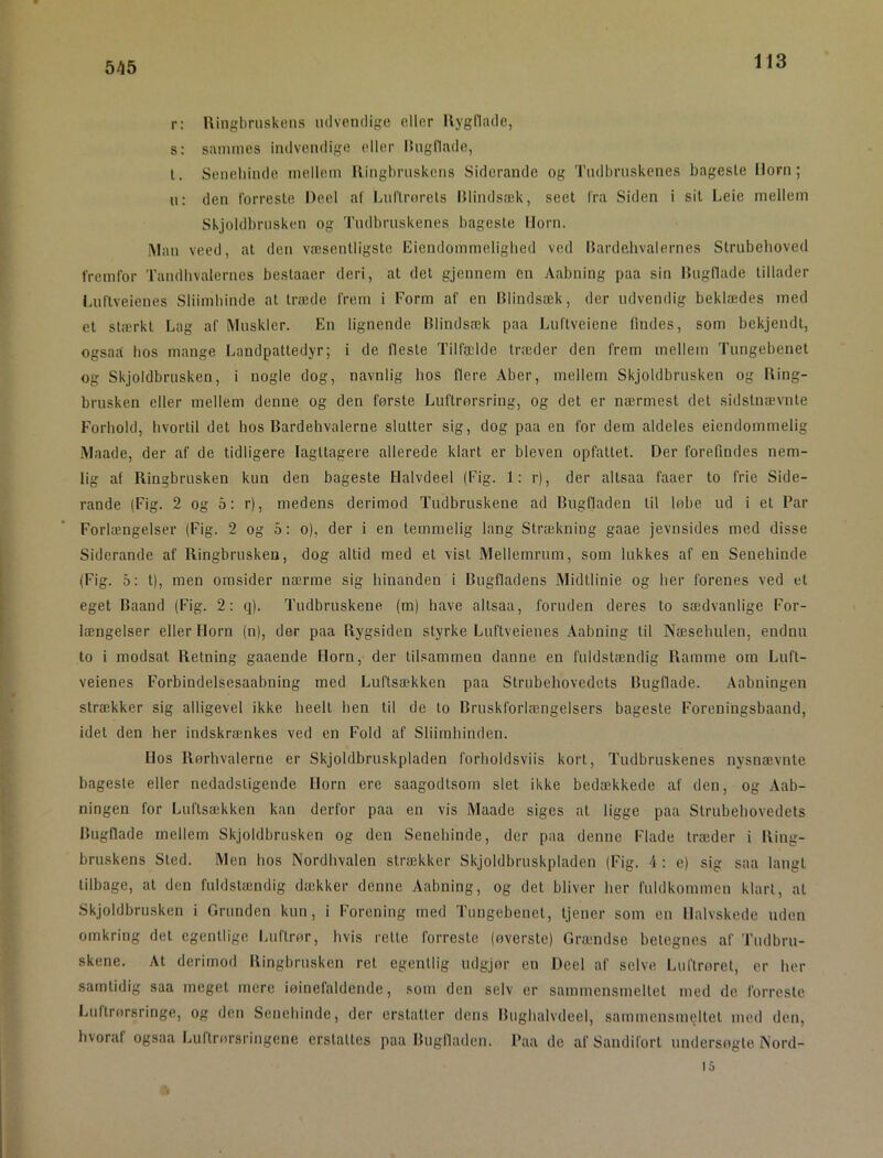 545 r: Uingbmskens lulverulige eller Rygflade, s: sammes intlven<lige eller Ihigllade, 1. Seneliincle mellem lliiigbrnskcns Siderande og Tiidbruskenes bagesle Horn; u: den forreste Deel af Luflrorets Hlindsæk, seet fra Siden i sit Leie mellem Skjoldbrusken og Tiidbruskenes bageste IJorn. Man veed, at den væsentligste Eiendommeligbed ved Itardehvalernes Strubehoved fremfor Tandhvalernes bestaaer deri, at det gjennem en Aabning paa sin Bugflade tillader Luftveienes Sliimbinde at træde frem i Form af en Blindsæk, der udvendig beklædes med et stærkt Lag af Muskler. En lignende Blindsæk paa Luftveiene findes, som bekjendt, ogsad hos mange Landpattedyr; i de Heste Tilfælde træder den frem mellem Tungebenet og Skjoldbrusken, i nogle dog, navnlig bos flere Aber, mellem Skjoldbrusken og Bing- brusken eller mellem denne og den første Luftrørsring, og det er nærmest det sidstnævnte Forhold, hvortil det hos Bardehvalerne slutter sig, dog paa en for dem aldeles eiendommelig Maade, der af de tidligere Iagttagere allerede klart er bleven opfattet. Der forefindes nem- lig af Ringbrusken kun den bageste Halvdeel (Fig. 1; r), der altsaa faaer to frie Side- rande (Fig. 2 og 5: r), medens derimod Tudbruskene ad Bugfladen til løbe ud i et Par Forlængelser (Fig. 2 og 5; o), der i en temmelig lang Strækning gaae jevnsides med disse Siderande af Ringbrusken, dog altid med et vist Mellemrum, som lukkes af en Senehinde (Fig. 5: t), men omsider nærme sig hinanden i Bugfladens Midtlinie og her forenes ved et eget Baand (Fig. 2: q). Tudbruskene (m) have altsaa, foruden deres to sædvanlige For- længelser eller Horn (n), der paa Rygsiden styrke Luftveienes Aabning til Næsehulen, endnu to i modsat Retning gaaende Horn, der tilsammen danne en fuldstændig Ramme om Luft- veienes Forbindelsesaabning med Luftsækken paa Strubehovedets Bugflade. Aabningen strækker sig alligevel ikke heelt hen til de to Bruskforlængelsers bageste Foreuingsbaand, idel den her indskrænkes ved en Fold af Sliimhinden. Hos Rørhvalerne er Skjoldbruskpladen forholdsviis kort. Tudbruskenes nysnævnte bageste eller nedadsligende Horn ere saagodtsom slet ikke bedækkede af den, og Aab- ningen for Luflsækken kan derfor paa en vis Maade siges al ligge paa Strubehovedets Bugflade mellem Skjoldbrusken og den Senehinde, der paa denne Flade træder i Ring- bruskens Sted. Men hos Nordhvalen strækker Skjoldbruskpladen (Fig. 4 : e) sig saa langt tilbage, at den fuldstændig dækker denne Aabning, og det bliver her fuldkommen klart, at Skjoldbrusken i Grunden kun, i Forening med Tungebenet, tjener som en Halvskede uden omkring det egentlige Luftror, hvis rette forreste (øverste) Grændse betegnes af Tudbru- skene. At derimod Ringbrusken ret egentlig udgjør en Deel af selve Luftroret, er her samtidig saa meget mere iøinefaldende, som den selv er sammensmeltet med de forreste Luftrørsringe, og den Senehinde, der erstatter dens Bughalvdeel, sammensmeltet med den, hvoraf ogsaa Lullrørsriugene erstattes paa Buglladen. Paa de af Sandiforl undersøgte Nord- 15