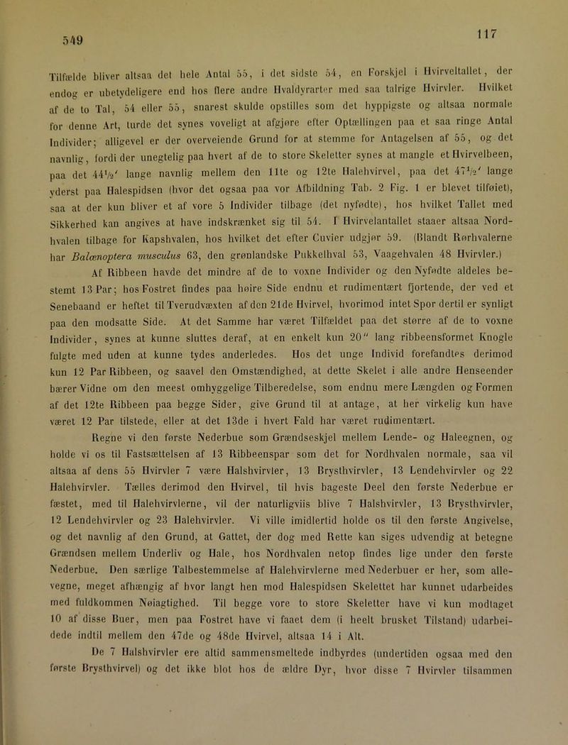 549 Tilfælde bliver altsaa det hele Antal 55, i det sidste 54, en I-orskjel i llvirveltallet, der endog er ubetydeligere end bos liere andre Ilvaldyrarter med saa talrige Hvirvler. Hvilket af de to Tal, 54 eller 55, snarest skulde opstilles som det hyppigste og altsaa normale for denne Art, turde det synes voveligt at afgjnre efter Optællingen paa et saa ringe Antal Individer; alligevel er der overveiende Grund for at stemme for Antagelsen af 55, og det navnlig, fordi der unegtelig paa hvert af de to store Skeletter synes at mangle et Hvirvelbeen, paa det 44'/9' lange navnlig mellem den Ilte og 12te Halehvirvel, paa det 4TV*' lange yderst paa Halespidsen (hvor det ogsaa paa vor Afbildning Tab. 2 Fig. 1 er blevet tilføiet), saa at der kun bliver et af vore 5 Individer tilbage (det nyfødte), hos hvilket Tallet med Sikkerhed kan angives at have indskrænket sig til 5T 1 Hvirvelantallet staaer altsaa Nord- hvalen tilbage for Kapshvalen, hos hvilket det efter Cuvier udgjør 59. (Blandt Ilørhvalerne har Balænoptera musculus 63, den grønlandske Pukkelhval 53, Vaagehvalen 48 Hvirvler.) Af llibbeen havde det mindre af de to voxne Individer og den Nyfødte aldeles be- stemt 13 Par; hos Fostret lindes paa høire Side endnu et rudimentært fjortende, der ved et Senebaand er heftet til Tverudvæxten af den 2lde Hvirvel, hvorimod intet Spor dertil er synligt paa den modsatte Side. At det Samme har været Tilfældet paa det større af de to voxne Individer, synes at kunne sluttes deraf, at en enkelt kun 20 lang ribbeensformet Knogle fulgte med uden at kunne tydes anderledes. Hos det unge Individ forefandtes derimod kun 12 Par Ribbeen, og saavel den Omstændighed, at dette Skelet i alle andre Henseender bærer Vidne om den meest omhyggelige Tilberedelse, som endnu mere Længden og Formen af det 12te Ribbeen paa begge Sider, give Grund til at antage, at her virkelig kun have været 12 Par tilstede, eller at det 13de i hvert Fald har været rudimentært. Regne vi den første Nederbue som Grændseskjel mellem Lende- og Haleegnen, og holde vi os til Fastsættelsen af 13 Ribbeenspar som det for Nordhvalen normale, saa vil altsaa af dens 55 Hvirvler 7 være Halshvirvler, 13 Brysthvirvler, 13 Lendehvirvler og 22 Halehvirvler. Tælles derimod den Hvirvel, til hvis bageste Deel den første Nederbue er fæstet, med til Halehvirvlerne, vil der naturligviis blive 7 Halshvirvler, 13 Brysthvirvler, 12 Lendehvirvler og 23 Halehvirvler. Vi ville imidlertid holde os til den første Angivelse, og det navnlig af den Grund, at Gattet, der dog med Rette kan siges udvendig at betegne Grændsen mellem Underliv og Hale, hos Nordhvalen netop findes lige under den første Nederbue, Den særlige Talbestemmelse af Halehvirvlerne med Nederbuer er her, som alle- vegne, meget afhængig af hvor langt hen mod Halespidsen Skelettet har kunnet udarbeides med fuldkommen Nøiagtighed. Til begge vore to store Skeletter have vi kun modtaget 10 af disse Buer, men paa Fostret have vi faaet dem (i heelt brusket Tilstand) udarbei- dede indtil mellem den 47de og 48de Hvirvel, altsaa 14 i Alt. De 7 Halshvirvler ere altid sammeusmeltede indbyrdes (undertiden ogsaa med den første Brysthvirvel) og det ikke blot hos de ældre Dyr, hvor disse 7 Hvirvler tilsammen