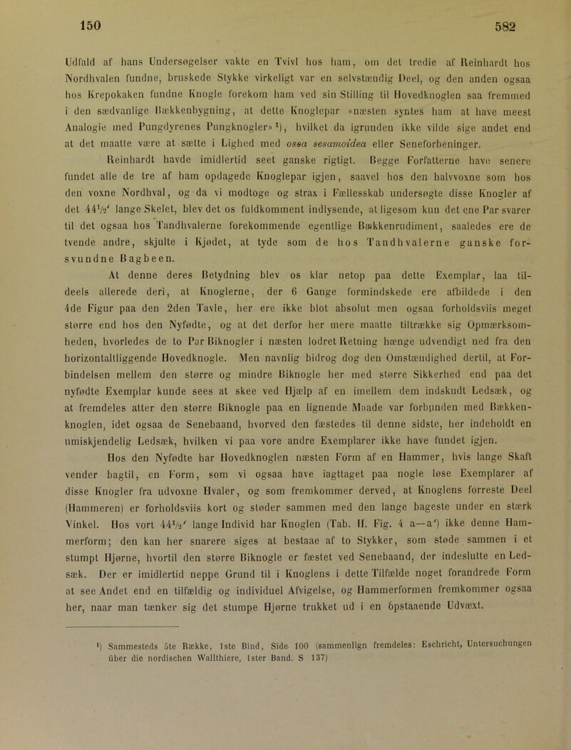 Udfald af hans Undersøgelser vakte en Tvivl hos harn, om del Iredie af Reinhardt hos Nordhvalen fundne, bruskede Stykke virkeligt var en sclvsttendig Deel, og den anden ogsaa hos Krepokaken fundne Knogle forekom ham ved sin Stilling til Hovedknoglen saa fremmed i den sædvanlige llækkenhygning, at dette Knoglepar »næsten syntes ham at have meesl Analogie med Pungdyrenes Pungknogler« ^), hvilket da igrunden ikke vilde sige andet end at det niaatte være at sætte i Lighed med ossa sesamoidea eller Seneforbeninger. Reinhardt havde imidlertid seet ganske rigtigt. Begge Forfatterne have, senere fundet alle de tre af ham opdagede Knoglepar igjen, saavel hos den halvvoxne som hos den voxne Nordhval, og da vi modtoge og strax i Fællesskab undersøgte disse Knogler af del 44V9' lange Skelet, blev det os fuldkomment indlysende, al ligesom kun det ene Par svarer til det ogsaa hos Tandhvalerne forekommende egentlige Bækkenrudiment, saaledes ere de tvende andre, skjulte i Kjødet, at tyde som de hos Tandhvalerne ganske for- svundne Bagbeen. Al denne deres Betydning blev os klar netop paa dette Exemplar, laa til- deels allerede deri, at Knoglerne, der 6 Gange formindskede ere afbildede i den 4de Figur paa den 2den Tavle, her ere ikke blot absolut men ogsaa forholdsviis meget større end hos den Nyfødte, og at det derfor her mere maatte tiltrække sig Opmærksom- heden, hvorledes de to Par Biknogler i næsten lodret Retning hænge udvendigt ned fra den horizontallliggende Flovedknogle. Men navnlig bidrog dog den Omstændighed dertil, at For- bindelsen mellem den større og mindre Biknogle her med større Sikkerhed end paa det nyfødte Exemplar kunde sees at skee ved Hjælp af en imellem dem indskudt Ledsæk, og at fremdeles alter den større Biknogle paa en lignende Maade var forbunden med Bækken- knoglen, idet ogsaa de Senebaand, hvorved den fæstedes til denne sidste, her indeholdt en umiskjendelig Ledsæk, hvilken vi paa vore andre Exemplarer ikke have fundet igjen. Hos den Nyfødte har Hovedknoglen næsten Form af en Hammer, hvis lange Skaft vender bagtil, en Form, som vi ogsaa have iagttaget paa nogle løse Exemplarer af disse Knogler fra udvoxne Hvaler, og som fremkommer derved, at Knoglens forreste Deel (Hammeren) er forholdsviis kort og støder sammen med den lange bageste under en stærk Vinkel. Hos vort 44V2' lange Individ har Knoglen (Tab. II. Fig. 4 a—a') ikke denne Ham- merform; den kan her snarere siges at bestaae af to Stykker, som støde sammen i et stumpt Hjørne, hvortil den større Biknogle er fæstet ved Senebaand, der indeslutte en Led- sæk. Der er imidlertid neppe Grund til i Knoglens i delte Tilfælde noget forandrede Form at see Andet end en tilfældig og individuel Afvigelse, og Hammerformen fremkommer ogsaa her, naar man tænker sig det stumpe Hjørne trukket ud i en bpstaaende Udvæxt. ') Sammesteds 5te Række, Iste Bind, Side 100 (sammenlign fremdeles; Eschricht, Untersuchungen iiber die nordischen Wallthiere, Ister Band. S 137)