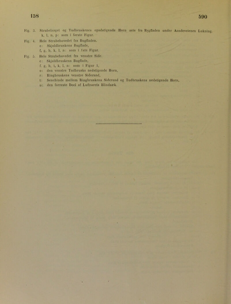 Fig. 3. Strubclaagcl og Tutlhiuskencs opadstigende Horn sete fra Rygfladen under Aandeveienes Lukning, k, 1, n, p: som i forste Figur. Fig. h. Hele Strubehovedet fra Bugfladen. e: Skjoldbruskens Bugflade, f, g, h, k, 1, n; som i 1ste Figur. Fig. 5. Hele Strubehovedet fra venstre Side. e: Skjoldbruskens Bugflade, f. g, h, i, k, 1, n: som i Figur 1, o; den venstre Tudbrusks nedstigende Horn, r: Ringbruskens venstre Siderand, t: Senehinde mellem Ringbruskens Siderand og Tudbruskens nedstigende Horn, u: den forreste Deel af Luftrorets Blindsæk.