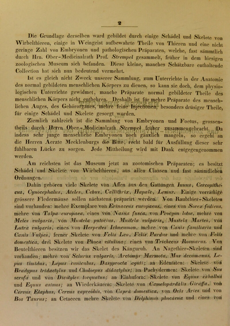 Die Grundlage derselben ward gebildet durch einige Schädel und Skelete von Wirbelthieren, einige in Weingeist aufbewahrte Th eile von Thieren und eine nicht geringe Zahl von Embryonen und pathologischen Präparaten, welche, fast sämmtlich durch Hin. Ober-Medicinalrath Prof. Strempel gesammelt, früher in dem hiesigen zoologischen Museum sich befanden. Diese kleine, manches Schätzbare enthaltende Collection hat sich nun bedeutend vermehrt. Ist es gleich nicht Zweck unserer Sammlung, zum Unterrichte in der Anatomie des normal gebildeten menschlichen Körpers zu dienen, so kann sie doch, dem physio- logischen Unterrichte gewidmet, manche Präparate normal gebildeter Theile des menschlichen Körpers nich^ejitbehren. Deshalb ist für mehre Präparate des mensch- lichen Auges, des Gehörorganes, inehre feine ' Injectiünen, besonders drüsiger Theile, für einige Schädel und Skelete gesorgt worden. Ziemlich zahlreich ist die Sammlung von Embryonen und Foetus, grossen- theils durch Herrn Ober ^.Medicinalyath Strempet frijher zusaramengebracht. Da indess sehr junge menschliche Embryonen noch gänzlich mangeln, so ergeht an die Herren Aerzte Mecklenburgs die Bitte, recht bald für Ausfüllung dieser sehr fühlbaren Lücke zu sorgen. Jede Mittheilung wird mit Dank entgegengenommen werden. Am reichsten ist das Museum jetzt an zootomischen Präparaten; es besitzt Schädel und Skelete von Wirbelthieren, aus allen Classen und fast sämmtlichen Ordnungen. . • .J , v:i- Dahin gehören viele Skelete von Affen aus den Gattungen Inuus, Cercopiihe- cus, Cynocephalus, Ateles ,.Cebus, Callithrix, Hapale, Lemur. Einige vorräthige grössere Fledermäuse sollen nächstens, präparirt werden. Von Raubthier-rSkeleten sind vorhanden: mehre Exemplare von Erinaceus europaeuseines von Sorex fodiens, mehre von Talpa europaea, eines von Nasua fusca, von Procyon lotor, mehre von Meies vulgaris, von Must ela putorius, Mustela vulgaris, Mustela Martes, von Lutra vulgaris, eines von Herpestes Ichneumon, mehre von Canis familiaris und Canis Vulpes, ferner Skelete von Felis Leo, Felis Pardus und mehre von Felis domestica, drei Skelete von Phoca vitulina; eines von Trichecus Rosniarus. Von Beutelthieren besitzen wir das Skelet des Känguruh. An Nagethier-Skeleten sind vorhanden; mehre von Sciurus vulgaris, Arctomys Marmota,. Mus decumanus, Le- pus timidus, Lepus cimiculus, Dasyprocta agutian Edentaten: Skelete von Bradypus tridactylus und ökoloepus didactylus; an Pachydermen: Skelete von Sus scrofa und von llicotyles torguatus; an Einhufern: Skelete von Egiius caballus und Eguus asinus; an Wiederkäuern: Skelete von Famelopardalis Giraffa, von Cervus Elaphus, Cervus capreolus, von Capra domestica, von Ovis Aries und von Bos Taurus; an Cetaceen mehre Skelete von Delphinus phocaena und eines von