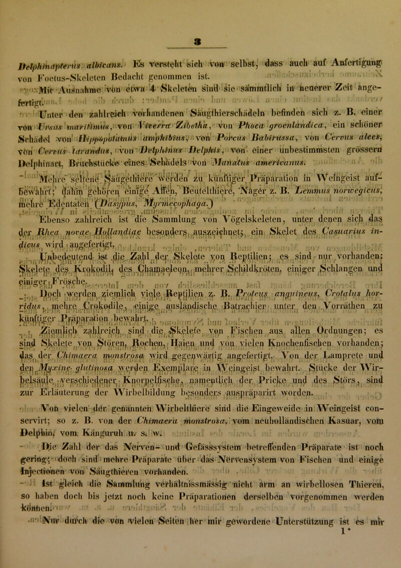 Delphin apt+rus albicans. Es versteht sieli von selbst, dass auch auf Anfertigung von Foetus-Skeleten Bedacht genommen ist. n- : :i.\i * ir::. •' Mit Ausnahme ivon etwa 4 Skeleten sind' sie • sämmtlich in neuerer Zeit ange- fertigtl-11'“ ’ ■ : »»*> • n hin .vu n a > .0 / * Unter den zahlreich vorhandenen Säugthierschädeln befinden sieb z. B. einer von I/wfK? maritimwi, von Viveerrt Zibetha, von Phoca groenlandica, ein schöner Schädel von' llipptipotamua imphlbtn's'Jr, von:'>Povcns Babirussa, von Cervns alces, Vhn Cemis tarandns, von Dtdphinbs Delphis, von einer unbestimmsten grossem Delphinart, Bruchstücke eines Schädels Von Mahatus americanus. ' Mehre 'sehend; päüg&li$ere werden zu künftiger Präparation in Weingeist auf- ewälirt; dahin geboren eimge/ Alfen, Beuteltliiere, 'Nager z. B. Demmus noncegicus, .• L 1^.1 Lj.Ä... / 11 LuniiJ»nift Jim«« 1*« ■ ■■ •»! fl'»*' Bew mehre Edentaten (Dasypus, Mynnecophaga.) Jai ff 11 i ui ■y. .iniitou:!tniFWgoion.c nu ojpTFP .ivre.e .rnou hütuüi Ebenso zahlreich ist die Sammlung von Vügelskeleten, unter denen sich das d.er Rhg.a novae, floßandiae besonders aus^eichnety ein Skelet des Qasuarius in- dicvs wird angefertigt. W .. Unbe(^t^nd-..iei<; ^kelete von Reptilien; es sind nur vorhanden: ^lvelejje ^ j^rQkpd^ dßS,..^l|^miaeleQp,j;melp-er Sphildkröten, einiger Schlangen und cbiige^jFiösche. .^.^,^1?, (mv -suW }••,■■■■■ ub teßl I^pph >^erdppvziepalich yiplp, Reptilen Zj. J£...Pr.oteuz angjnneus, Crotglus hor- rido s, mehre, .tQrokodile, einige ausländische Batrachier- unter, den .Vorräthcn zu kiWligw RmpWiXi«» bewahrt. •/ Ziemlich zahlreich sind die( Skelete ypn Fischen aus allen Ordnungen; es sind Skelete von Stören, Rochen, Raien lind von vielen Knochenfischen vorhanden; das der Chimaera monslrosa wird gegenwärtig angefertigt. Von der Lamprete und Myxine- glutiposa werden E^einplarle. in Weingeist bewahrt. Stücke der AVir- helsöuleM:yei:sch.iejipper,-Knorpplfjsphe.,namentlich der Pricke und des Störs, sind zur Erläuterung der Wirbelbildung besonders auspräparirt worden. Von vielen dergenannten Wirbeltliiere sind die Eingeweide in AAreingeist con- servirt; so z. B. von der Chimaera monslrosa, vom neuholländischen Kasuar, vom Delphin, vorn; Känguruh Uv sä w. i >m; ,, I>ie Zahl der das Nerven- und Gefässsystem betreffenden Präparate ist noch gering*,' doch sind mehre Präparate über das Nervensystem von Fischen und einige Injectionen von Säugthieren vorhanden. Ist gleich die Sammlung verhältnissmässig nicht arm an wirbellosen Thieren, so haben doch bis jetzt noch keine Präparationen derselben vorgenommen werden •könhen.•: ' • uvdii'..-.oUK l> * •» . •Nur durch die von fielen Seiten her mir gewordene Unterstützung ist es mir 1*