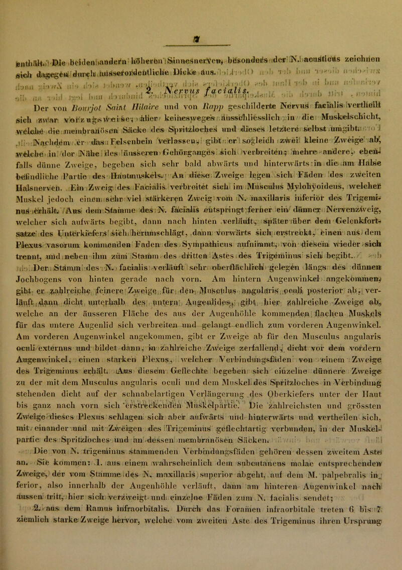 ff enthält. Die beidenUandeih» höhcron iSumesnerVen, besonders der N.i aouSlious zeichnen «icl» dagegen:«hwflu,iuiAs«ror;deatHcfcie Dick« d.ua.ri-»id :>l<> .■ - i ••!> bmi il’jl’.il \ i-> 7/.\ :l •• l.’i • i>!!•> ■'/ «H'lii' :11 li JIH ddiydO *f»b Jur,fl mb ni bini if ' ns «im r • l.'t.A fiMiri '* ’A- ••• •»+ /. . 2. JS-ervtif facialis. , . ... •.... i. .;,i . •, jm.)J 11,iji ily iubtiui > ■ -»»'•<]' ■ HU « 1111,1 3,1»' • ' * ***** Der von Bourjot Saint Ililaire und von llapp geschilderte Nervus facialis vertlioilt sich t»u1an vorz n>»sd*mbe?■> aller' keiiuesjveges diisschliessllch in die Muskelsehiclit, welche die membranösen Säcke des Spvitzloehes und dieses letztere selbst umgibt;: Nachdem er das i Felsenbein verlassen:,: gibt:, er sogleidh :z^vei kleine Zweige aty welche in der Nähe des«Uiiisseren>Gehörganges sich verbreiten.; mehre andere,' ebeni falls dünne Zweige, begehen sich sehr bald abwärts und hinterwärts;in die am Halse befindliche Partie des Häntmuskels.; An diese Zweige legen sich Fäden- des zweiten Halsnerven. Ein Zweig des Facialis verbreitet sich im Musculus Mylohyoideus, welcher Muskel jedoch einon.sehr viel stärkeren Zweig vom N. maxillaris inferior des Trigemi- nus >erhält. Aus dem Stamme des N. facialis entspringt ferner ein dünner Nervenzweig, welcher sich aufwärts begibt, dann nach hinten .verläuft, später lüber dem Gelenkfort- satze des Unterkiefers’sich herumschlägt, dann vorwärts sich .evstrebkt, einen aus dem Plexus vasorum kommenden Faden des Sympathicus aufniromt:; von diesem wieder sich trennt, und.neben ihm zürn Stamm des dritten Astes.des Trigeminus sieb begibt. h Der Stamm des N. facialis verläuft sehr oberflächlich gelegen längs des dünnen Jochbogens von hinten gerade nach vorn. Am hintern Augenwinkel angekömmen; gibt er zahlreiche feinere Zweige für den-. MuSptiltis angularis .peuJi posterior ab, ver- läuft , dann dicht unterhalb des untern Augenlides^,: gibt hier zahlreiche Zweige ab, welche an der äusseren Fläche des ans der Augenhöhle kommenden flachen Muskels für das untere Augenlid sich verbreiten und gelangt endlich zum vorderen Augenwinkel. Am vorderen Augenwinkel angekommen, gibt er Zweige ab für den Musculus angularis oculi externus und bildet dann, in zahlreiche Zw'eige zerfallend, dicht vor dem vordem Augenwinkel, einen starken Plexus, welcher Verbindungsfäden von einem Zweige des Trigeminus erhält. lAus diesem Geflechte begeben sich einzelne dünnere Zweige zu der mit dem Musculus angularis oculi und dem Muskel.des Spfitzloches in Verbindung stellenden dicht auf der schnabelartigen Verlängerung .des Oberkiefers unter der Haut bis ganz nach vorn sich 'ersti^eckehdiön Muskelpartie.' Die zahlreichsten und grössten Zw'eige dieses Plexus schlagen! sich aber aufwärts und hinterwärts und vertheilen .sich, mit, einander und mit Zweigen des Trigeminus geflechtartig verbunden, in der Muskel- partie des Spritzloches und an dessen membranösen Säcken. Die von N. trigeminus stammenden Verbindungsfäden gehören dessen zweitem Astei an. Sie kommen: 1. aus einem wahrscheinlich dein subeutaneus malae entsprechenden' Zweige, der vom Stamme.des N. maxillaris superior abgeht, auf dem M. palpebralis in_ ferior, also innerhalb der Augenhöhle verläuft, dann am hinteren Augenwinkel nach aussen tritt, hier sich verzweigt, und. einzelne Fäden zum N. facialis sendet; 2. aus dem llamus infraorbitalis. Durch das Forarhen infraorbitale treten (5 bis 7 ziemlich starke Zweige hervor, welche vom zweiten Aste des Trigeminus ihren Ursprung