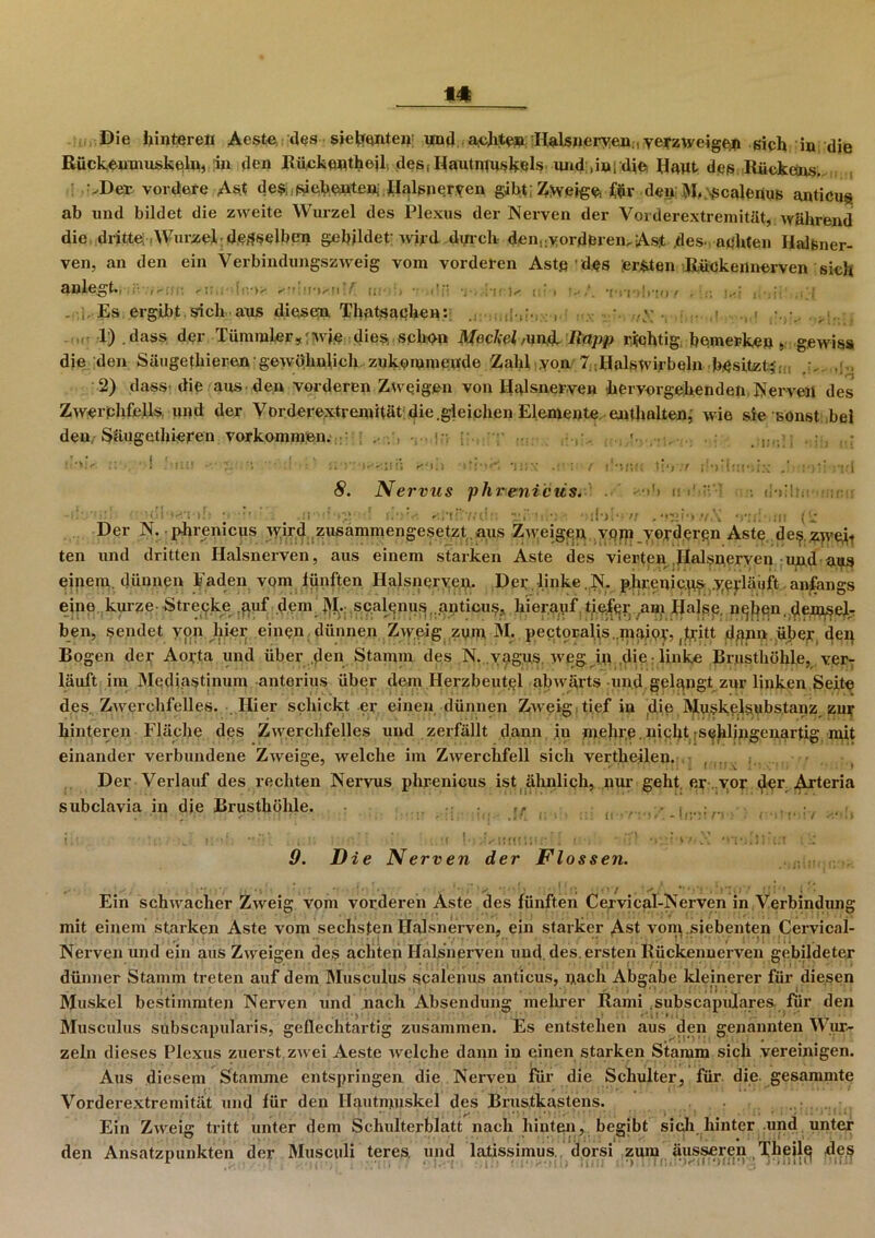 Die hinteren Aeste des siebenten' und achte» Halsneryen, verzweige# sich in die Rückeumuskoln, in den Bückeptheil, des( Hautrppskels und ,ini die Haut des Rückens. ; -.Der vordere Ast des,siebenten-.Ralgnerven gibt:^wejg^ ^r den ]>I, ,scalenus anticus ab und bildet die zweite Wurzel des Plexus der Nerven der Vorderextremität, während die dritte; Wurzel desselben gebildet'wird durch den, vorderen. As;t des- achten Halfener- ven, an den ein Verbindungszweig vom vorderen Astß des ersten Rückennerven sich aulegt., .;; !•)> !;:■ >  i1 ■ ,•:■ )< i > v ,T ;>'!o . Es ergibt.sich aus diesen Thatsaqhen: ,v . . ,, . 1) .dass der Tümmler,'wie dies,,schon jl/ecAef ,un,d. Rapp richtig, bemerken, gewiss die den Säugethieren'gewöhnlich zukemmepde Zahl von 7,,Halswirbeln besitzt*- ; .'. , 2) dass- die aus den vorderen Zweigen von Halsnerven hervorgehenden Nerven des Zwerchfells, und der Vorderextremität die.gleichen Elemente enthalten, wie sie sonst bei den, Säugethieren Vorkommen. .... ...... ; ( ! •»!!({ Wt.r ; •> •HX . S. Nervus phrenieüs. ■>’) I! I' r. e'.rv.. nr> v. Der N. phrenicus wird zusammengesetzt , aus Zweigen .ypfli yeyderen Aste flesLzraeju ten und dritten Halsnerven, aus einem starken Aste des vierten Halsnerven und aus einem, dünnen Faden vom fünften Halsneryen. Der linke.N. p.hrenic.tt^ yevläuft anfangs eine kurze-Strecke fpif dem_ ]>j[. scaleniiq .anticus, hierauf tiefer am Halse, n^ben. demsel- ben, sendet von hier einen dünnen Zweig zum M. pectoral.is..niaipv, Dritt dann über den Bogen der Aorta und über den Stamm des N. ypgus weg ip .die; linke Brusthöhle, ver- läuft im Mediastinum anterius über dem Herzbeutel abwärts und gelangt zur linken Seite des. Zwerchfelles. Hier schickt er einen dünnen Zweig tief in die MUiske.lsubstanz zur hinteren Fläche des Zwerchfelles und zerfällt dann iu mehre, nicht:sehlingenartig mit einander verbundene Zweige, welche im Zwerchfell sich vertheilen. , . i / Der Verlauf des rechten Nervus phrenicus ist ähnlich, pur geht er vor der Arteria subclavia in die Brusthöhle. ,f •;? r\ 9. Die Ne rven der Flossen. Ein schwacher Zweig vom vorderen Aste des fünften Cervical-Nerven in Verbindung mit einem starken Aste vom sechsten Halsnerven, ein starker Ast vom siebenten Cervical- . Nerven und ein aus Zweigen des achten Halsnerven und. des. ersten Rückennerven gebildeter dünner Stamm treten auf dem Musculus scalenus anticus, pach Abgabe kleinerer für diesen Muskel bestimmten Nerven und nach Absendung melirer Rami .subscapulares für den Musculus subscapularis, geflechtartig zusammen. Es entstehen aus den genannten Wur- zeln dieses Plexus zuerst, zwei Aeste welche dann in einen starken Stamm sich vereinigen. Aus diesem Stamme entspringen die Nerven für die Schulter, für die gesammte Vorderextremität und für den Hautnpiskel des Brustkastens. Ein Zweig tritt unter dem Schulterblatt nach hinten, begibt sich..hinter und unter den Ansatzpunkten der Musculi' teres. und latissimus. dorsi zum äusseren Tlieil^ des