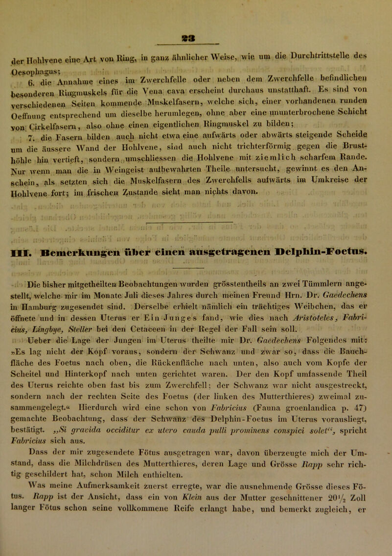 «3 der Hohlvene eine Art von King, in ganz ähnlicher Weise, wie um die Durchtrittstelle des Oesophagus; _ , 6. die Annahme eines im Zwerchfelle oder neben dem Zwerchfelle befindlichen besonderen Riugmuskels für die Vena cava erscheint durchaus unstatthaft. Es sind von verschiedenen Seiten kommende Muskelfasern, welche sich, einer vorhandenen runden Oeffnung entsprechend um dieselbe herumlegen, ohne aber eine ununterbrochene Schicht von Cirkclfasem, also ohne einen eigentlichen Kingmuskel zu bilden; 7. die Fasern bilden auch nicht etwa eine aufwärts oder abw ärts steigende Scheide um die äussere Wand der Hohlvene, sind auch nicht trichterförmig gegen die Brust- höhle hin vertieft, sondern umscliliessen die Ilohlvene mit ziemlich scharfem Rande. Nur wenn man die in Weingeist aulbewahrten Theile untersucht, gewännt es den An- schein, als setzten sich die Muskelfasern des Zwerchfells aufwärts im Umkreise der Hohlvene fort; im frischen Zustande sieht man nichts davon. . ’ • > . . . I i . * : ' ' ' ' IM. Bemerkungen ül»er einen aiisgetragenen Belpliin-Foetus. Die bisher mitgetheilten Beobachtungen wurden grösstentheils an zwei Tümmlern ange- stellt, welche mir im Monate Juli dieses Jahres durch meinen Freund Hrn. Dr. Gaedecken» in Hamburg zugesendet sind. Derselbe erhielt nämlich ein trächtiges Weibchen, das er öffnete und in dessen Uterus er Ein Junges fand, wie dies nach Aristoteles, Fabri- cius, Lingbye, Steller bei den Cetaceen in der Regel der Fall sein soll. Ueber die Lage der Jungen im Uterus theilte mir Dr. Gacdechens Folgendes mit: »Es lag nicht der Kopf voraus, sondern der Schwanz und zwar so, dass die Bauch- fläche des Foetus nach oben, die Rückenfläche nach unten, also auch vom Kopfe der Scheitel und Hinterkopf nach unten gerichtet waren. Der den Kopf umfassende Theil des Uterus reichte oben fast bis zum Zwerchfell; der Schwanz war nicht ausgestreckt, sondern nach der rechten Seite des Foetus (der linken des Mutterthieres) zweimal zu- sammengelegt.« Hierdurch wird eine schon von Fabricius (Fauna groenlandica p. 47) gemachte Beobachtung, dass der Schwanz des Delphin-Foetus im Uterus vorausliegt, bestätigt. „Si gravida occiditur ex utero cauda pulli prominens conspici soletspricht Fabricius sich aus. Dass der mir zugesendete Fötus ausgetragen war, davon überzeugte mich der Um- stand, dass die Milchdrüsen des Mutterthieres, deren Lage und Grösse Happ sehr rich- tig geschildert hat, schon Milch enthielten. Was meine Aufmerksamkeit zuerst erregte, war die ausnehmende Grösse dieses Fö- tus. Happ ist der Ansicht, dass ein von Klein aus der Mutter geschnittener 20l/2 Zoll langer Fötus schon seine vollkommene Reife erlangt habe, und bemerkt zugleich, er