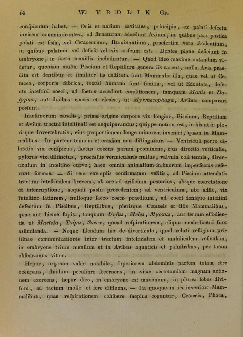 confpicuum habet. — Oris et narium cavitates, principio, ex palati defectu invicem communicantes, ad ftructuram accedunt Avium , in quibus pars postica palati est fisfa, vel Cetaceorum, Ruminantium, praefertim vero Rodentium, in quibus palatum vel deficit vel vix osfeum est. Dentes plane deficiunt in embryone, in foetu maxillis includuntur. — Quod ideo maxime notandum vi- detur, quoniam multa Piscium et Reptilium genera iis carent, nulla Avis prae- dita est dentibus et fimiliter iis deftituta funt Mammalia illa , quae vel ut Ce- tacea, corporis fabrica, foetui humano funt fimiiia , vel ut Edentata, defe- ctu inteftini coeci, ad foetus accedunt conditionem , tamquam Manis et Da- Jypus, aut duobus coecis et cloaca, ut Myrmecophaga, Avibus comparari posfunt. Intefiinorum canalis, prima origine corpore vix longior, Piscium, Reptilium et Avium tractui intefiinali est aequiparandus ; quippe notum est, in his ut in ple- risque Invertebratis , eius proportionem longe minorem inveniri, quam iu Mam- malibus. In partem tenuem et crasfam non diftinguitur. — Ventriculi porro di- latatio vix confpicua, faccus coecus parum prominens, eius directio verticalis, pylorus vix. diftinctus, procesfus vermicularis nullus, valvula coli tenuis, diver- ticulum in inteftino curvo $ haec omnia animalium infimorum imperfectas refe- runt formas. — Si rem exemplis confirmatam velitis, ad Piscium attendatis tractum inteftinalem brevem, ab ore ad orificium posterius, absque coarctatione et interruptione, aequali pasfu procedentem $ ad ventriculum, ubi adfit, vix inteftino latiorem , nulloque facco coeco praeditum , ad coeci denique inteftini defectum in Piscibus, Reptilibus, plerisque Cetaceis et illis Mammalibus, quae aut hieme fopita, tanquam Vrfus, Meles, Myoxus, aut terram effodien- tia ut Mustela, Talpa , Sorex, quoad refpirationem , aliquo modo foetui funt asfimilanda. — Neque filendum hic de diverticulo, quod veluti veftigium pri- ftinae communicationis inter tractum inteftinalem et umbilicalem veficulam, in embryone trium menfium et in Avibus aquaticis et paluftribus , per totam obfervamus vitam. Hepar, organon valde notabile, fuperiorem abdominis partem totam fere occupans, fluidum peculiare fecernens, in vitae oeconomiam magnam actio- nem exercens , hepar dico , in embryone est maximum , in plures lobos divi- fum , ad tactum molle et fere diffluens. — Ita quoque in iis invenitur Mam- malibus , quae refpirationem cohibere faepius coguntur, Cetaceis, Phoca,