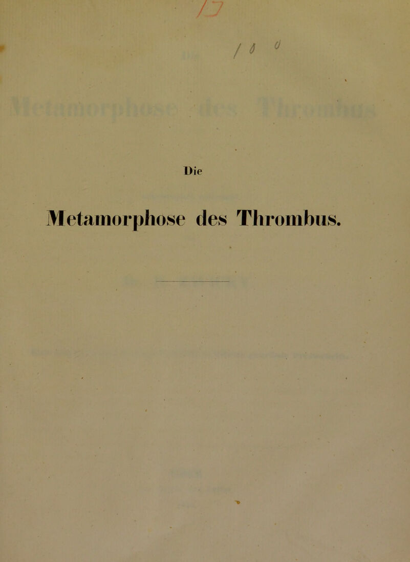 / Die Metamorphose des Thrombus.