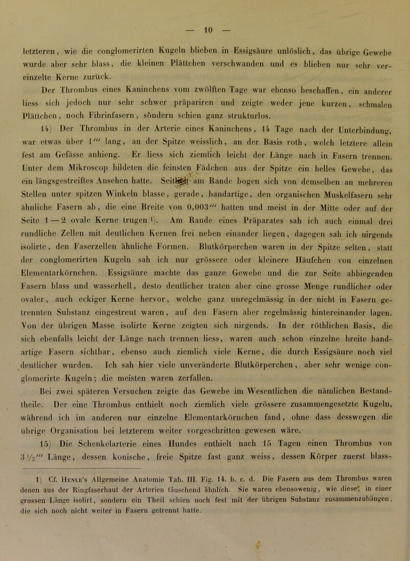 letzteren, wie die conglomerirten Kugeln blieben in Essigsäure unlöslich, das übrige Gewebe wurde aber sehr blass, die kleinen Plättchen verschwanden und es blieben nur sehr ver- einzelte Kerne zurück. Der Thrombus eines Kaninchens vom zwölften Tage war ebenso beschaffen, ein anderer liess sich jedoch nur sehr schwer präpariren und zeigte weder jene kurzen, schmalen Plättchen, noch Fibrinfasern, söndern schien ganz strukturlos. 14) Der Thrombus in der Arterie eines Kaninchens, 14 Tage nach der Unterbindung, war etwas über 1lang, an der Spitze weisslich, an der Basis roth, welch letztere allein fest am Gefässe anhieng. Er liess sich ziemlich leicht der Länge nach in Fasern trennen. Unter dem Mikroscop bildeten die feinsten Fädchen aus der Spitze ein helles Gewebe, das ein längsgestreiftes Ansehen hatte. Seitjjg^ram Rande bogen sich von demselben an mehreren Stellen unter spitzen Winkeln blasse, gerade, bandartige, den organischen Muskelfasern sehr ähnliche Fasern ab, die eine Breite von 0,003' hatten und meist in der Milte oder auf der Seite 1—2 ovale Kerne trugen i). Am Rande eines Präparates sah ich auch einmal drei rundliche Zellen mit deutlichen Kernen frei neben einander liegen, dagegen sah ich nirgends isolirte, den Faserzellen ähnliche Formen. Blutkörperchen waren in der Spitze selten, statt der conglomerirten Kugeln sah ich nur grössere oder kleinere Häufchen von einzelnen Elementarkörnchen. Essigsäure machte das ganze Gewebe und die zur Seite abbiegenden Fasern blass und wasserbell, desto deutlicher traten aber eine grosse Menge rundlicher oder ovaler, auch eckiger Kerne hervor, welche ganz unregelmässig in der nicht in Fasern ge- trennten Substanz eingestreut waren, auf den Fasern aber regelmässig hintereinander lagen. Von der übrigen Masse isolirte Kerne zeigten sich nirgends. In der rölhlichen Basis, die sich ebenfalls leicht der Länge nach trennen liess, waren auch schon einzelne breite band- artige Fasern sichtbar, ebenso auch ziemlich viele Kerne, die durch Essigsäure noch viel deutlicher wurden. Ich sah hier viele unveränderte Blutkörperchen, aber sehr wenige con- glomerirte Kugeln; die meisten wraren zerfallen. Bei zwei späteren Versuchen zeigte das Gewebe im Wesentlichen die nämlichen Bestand- theile. Der eine Thrombus enthielt noch ziemlich viele grössere zusammengesetzte Kugeln, während ich im anderen nur einzelne Elementarkörnchen fand, ohne dass desswrcgen die übrige Organisation bei letzterem weiter vorgeschritten gewesen wäre. 15) Die Schenkelarterie eines Hundes enthielt nach 15 Tagen einen Thrombus von 3 (/V Länge, dessen konische, freie Spitze last ganz weiss, dessen Körper zuerst blass- 1) Cf. Henle’s Allgemeine Anatomie Tab. III. Fig. 14. b. c. d. Die Fasern aus dem Thrombus waren denen aus der Itingfaserhaut der Arterien täuschend ähnlich. Sie waren ebensowenig, wie diese' in einer grossen Länge isolirt, sondern ein Theil schien noch fest mit der übrigen Substanz zusammenzuhängen, die sich noch nicht weiter in Fasern getrennt hatte.