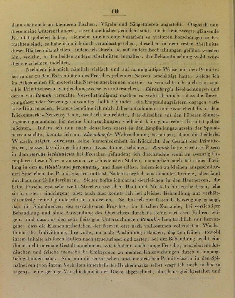 dann aber auch an kleineren Fisciien, Vögeln und Saugelhieren angestellt. Obgleich nun diese meine Untersuchungen, soweit sie bisher gediehen sind, noch keinesweges glänzende Resultate geliefert haben, vielmehr nur als eine Vorarbeit zu weiteren Forschungen zu be- trachtensind, so habe ich mich doch veranlasst gesehen, dieselben in dem ersten Abschnitte dieser Blätter mitzutheilen, indem ich durch sie auf andere Beobachtungen geführt worden bin, welche, in den beiden andern Abschnitten enthalten, der Bekanntmachung wohl wür- diger erscheinen möchten. Nachdem ich mich nämlich vielfach und auf mannigfaltige Weise mit den Primitiv- fasern der zu den Extremitäten des Frosches gehenden Nerven beschäftigt hatte, welche ich im Allgemeinen für motorische Nerven anerkennen musste, so wünschte ich auch rein sen- sible Primitivfasern vergleichungsweise zu untersuchen. Ehrenberg's Beobachtungen und deren von Remak versuchte Vervollständigung machen es wahrscheinlich, dass die Bewe- gungsfasern der Nerven geradwandige hohle Cyllnder, die Empfindungsfasei’n dagegen vari- köse Röhren seien; letztere bemühte ich mich dalier aufzufinden, und zwar ebenfalls in dem Rückenmarks-Nervensysteme, well ich befürchtete, dass dieselben aus den höheren Sinnes- organen genommen für meine Untersuchungen vielleicht kein ganz reines Resultat geben möchten. Indem ich nun nach denselben zuerst in den Empfindungswurzeln der Spinal- nerven suchte, konnte ich nur Ehrenherg's Wahrnehmung bestätigen; denn die beiderlei Wurzeln zeigten durchaus keine Verschiedenheit in Piücksicht der Gestalt der Primitiv- fasern, ausser dass die der hinteren etwas dünner schienen. Remale halte variköse Fasern in dem nervus ischiadicus bei Fröschen gefunden; ich durchsuchte wohl an zwanzig Ex- emplaren diesen Nerven an seinen verschiedensten Stellen, namentlich auch bei seiner Thei- lung in den n. tibialis wnd peronaeus, und diese selbst, indem ich an kleinen ausgeschnitte- nen Stückchen die Primitivfasern mittelst Nadeln sorglich aus einander breitete, aber fand durchaus nur Gylinderröhren. Sicher hoffte ich darauf dergleichen in den Hautnerven, die beim Frosche erst sehr weite Strecken zwischen Haut und Muskeln hin zurücklegen, ehe sie in erstere elndringen; aber auch hier konnte ich bei gleicher Behandlung nur verhält- nlssmässig feine Gylinderröhren entdecken. So bin ich zur festen Ueberzeugung gelangt, dass die Spinalnerven des erwachsenen Frosches, im frischen Zustande, bei vorsichtiger Behandlung und ohne Anwendung des Quetschers durchaus keine varikösen Röhren zei- gen , und dass aus den sehr flelsslgen Untersuchungen Remak's hauptsächlich nur hervor- gehe: dass die Elementarlheilchen der Nerven erst nach vollkommen vollendetem W^achs- thume des Individuums ihre volle, normjde Ausbildung erlangen, dagegen früher, sowohl ihrem Inhalte als ihren Hüllen nach struclurloser und zarter, bei der Behandlung leicht eine ihnen nicht normale Gestalt annehmen; wie ich denn aucli junge Frösche, neugeborene Ka- ninchen und frische mcnschliclie Embryonen zu meinen Untersuchungen durchaus untaug- lich gefunden habe. Sind nun die sensorischen und motorischen Primitivfasern ln den Spi- nalnerven (von ihrem Verhalten innerhalb des Rückenmarks selbst wage ich noch nichts zu sagen), eine geringe Verschiedenheit der Dicke abgerechnet, durcliaus gleichgestaltet und