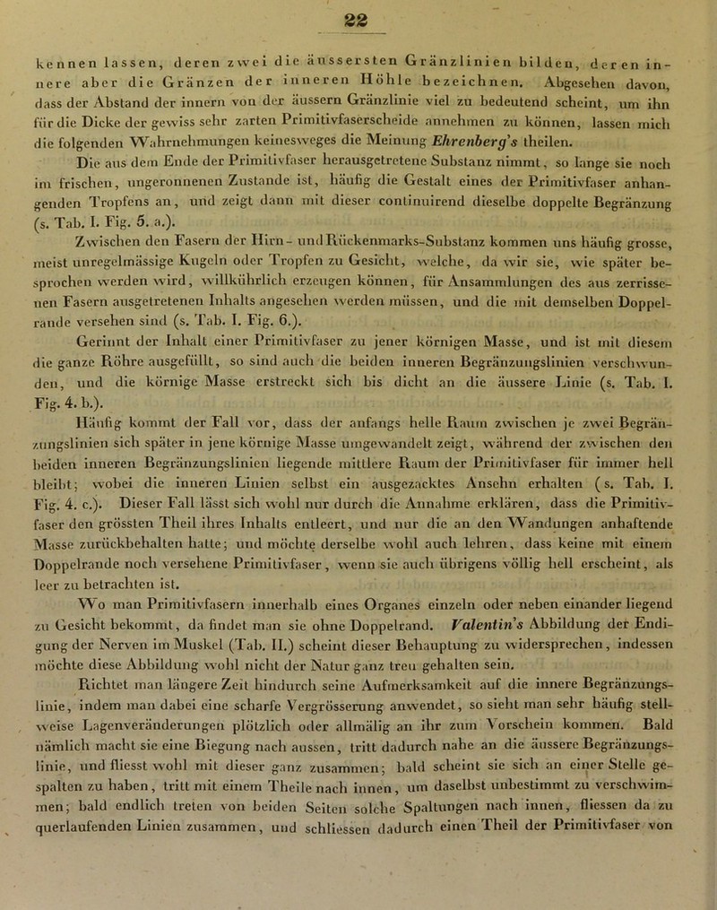 kennen lassen, deren zwei die äussersten Gränzlinien bilden, deren in- nere aber die Gränzen der inneren Höhle bezeichnen. Abgesehen davon, dass der Abstand der innern von der äussern Gränzlinie viel zu bedeutend scheint, um ihn für die Dicke der gewiss sehr zarten Primitivfaserscheide annehrnen zu können, lassen mich die folgenden Wahrnehmungen keiuesweges die Meinung Ehrenberg's theilen. Die aus dem Ende der Primitivfaser herausgetretene Substanz nimmt, so lange sie noch im frischen, ungeronnenen Zustande ist, häufig die Gestalt eines der Primitivfaser anhan- genden Tropfens an, und zeigt dann mit dieser continuirend dieselbe doppelte Begränzung (s. Tab. I. Fig. 5. a.). Zwischen den Fasern der Hirn - und Rückenmarks-Substanz kommen uns häufig grosse, meist unregelmässige Kugeln oder Tropfen zu Gesicht, welche, da wir sie, wie später be- sprochen werden wird, willkührlich erzeugen können, für Ansammlungen des aus zerrisse- nen Fasern ausgetretenen Inhalts angesehen werden müssen, und die mit demselben Doppel- rande versehen sind (s. Tab. I. Fig. 6.). Gerinnt der Inhalt einer Primitivfaser zu jener körnigen Masse, und ist mit diesem die ganze Röhre ausgefüllt, so sind auch die beiden inneren Begränzungslinien verschwun- den, und die körnige Masse erstreckt sich bis dicht an die äussere Linie (s. Tab. I. Fig. 4. b.). Häufig kommt der Fall vor, dass der anfangs helle Raum zwischen je zwei Begrän- zungslinien sich später in jene körnige Masse umgewandelt zeigt, während der zwischen den beiden Inneren Begränzungslinien liegende mittlere Raum der Pri/nitivfaser für immer hell bleibt; wobei die Inneren Linien selbst ein ausgezacktes Ansehn erhalten (s. Tab. I. Fig. 4. c,). Dieser Fall lässt sich wohl nur durch die Annahme erklären, dass die Primitiv- faser den grössten Thell ihres Inhalts entleert, und nur die an den W^andungen anhaftende Masse zurückhehalten hatte; und möchte derselbe wohl auch lehren, dass keine mit einem Doppelrande noch versehene Primitivfaser, wenn sie auch übrigens völlig hell erscheint, als leer zu betrachten ist. W o man Primitivfasern innerhalb eines Organes einzeln oder neben einander liegend zu Gesicht bekommt, da findet man sie ohne Doppelrand. Valentin s Abbildung der Endi- gung der Nerven im Muskel (Tab. II.) scheint dieser Behauptung zu widersprechen, indessen möchte diese Abbildung wohl nicht der Natur ganz treu gehalten sein. Richtet man längere Zeit hindurch seine Aufmerksamkeit auf die innere Begränzungs- llnle, indem man dabei eine scharfe Vergrösserung anwendet, so sieht man sehr häufig stell- weise Lagenveränderungen plötzlich oder allmälig an ihr zum Vorschein kommen. Bald nämlich macht sie eine Biegung nach aussen, tritt dadurch nahe an die äussere Begränzungs- llnie, und fliesst wohl mit dieser ganz zusammen; bald scheint sie sich an einer Stelle ge- spalten zu haben, tritt mit einem Theile nach innen, um daselbst unbestimmt zu verschwim- men; bald endlich treten von beiden Seiten solche Spaltungen nach innen, fliessen da zu querlaufenden Linien zusammen, und schliessen dadurch einen Thell der Primitivfaser von