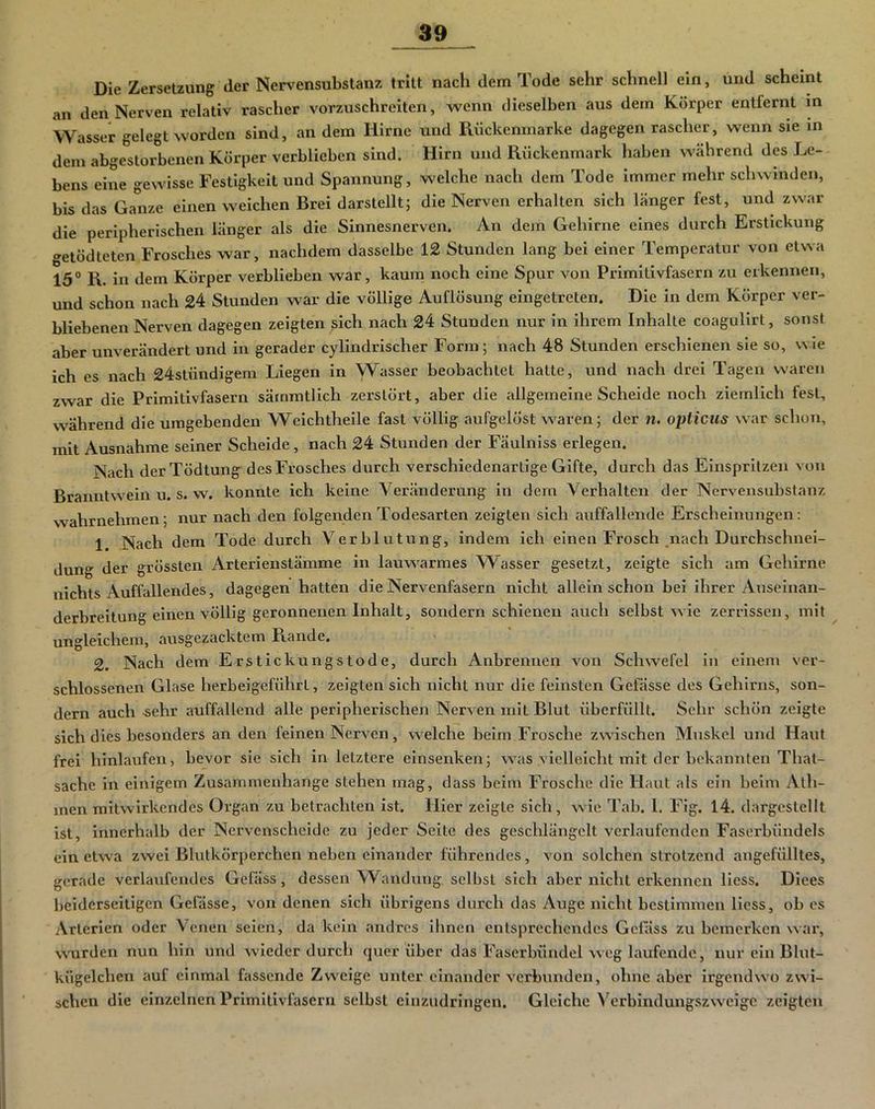 Die Zersetzung der Nervensubstanz tritt nach dem Tode sehr schnell ein, und scheint an den Nerven relativ rascher vorzuschreiten, wenn dieselben aus dem Körper entfernt m Wasser gelegt worden sind, an dem Hirne und Kückenmarke dagegen rascher, wenn sie in dem abgestorbenen Körper verblieben sind. Hirn und Rückenmark haben während des Le- bens eine gewisse Festigkeit und Spannung, welche nach dem Tode immer mehr schwinden, bis das Ganze einen w^eichen Brei darstellt; die Nerven erhalten sich länger fest, und zw'ar die peripherischen länger als die Sinnesnerven. An dem Gehirne eines durch Erstickung getödteten Frosches war, nachdem dasselbe 12 Stunden lang bei einer Temperatur von etwa 15® R. in dem Körper verblieben war, kaum noch eine Spur von Primitivfasern zu erkennen, und schon nach 24 Stunden war die völlige Auflösung eingetreten. Die in dem Körper ver- bliebenen Nerven dagegen zeigten sich nach 24 Stunden nur in ihrem Inhalte coagulirt, sonst aber unverändert und in gerader cylindrischer Form; nach 48 Stunden erschienen sie so, wie ich es nach 24stündigem Liegen in Wasser beobachtet hatte, und nach drei Tagen waren zwar die Primitivfasern särnmtlich zerstört, aber die allgemeine Scheide noch ziemlich fest, während die umgebenden Weichtheile fast völlig aufgelöst waren; der fi. opticus wiw schon, mit Ausnahme seiner Scheide, nach 24 Stunden der Fäulniss erlegen. Nach der Tödtung des Frosches durch verschiedenartige Gifte, durch das Einspritzen von Branntw^ein u. s. w. konnte ich keine Veränderung in dem Verhalten der Nervensubstanz wahrnehmen; nur nach den folgenden Todesarten zeigten sich auffallende Erscheinungen: 1 Nach dem Tode durch Verblutung, indem ich einen Frosch ^nach Durchschnei- dung der grössten Arterienstämme in lauvs’^armes Wasser gesetzt, zeigte sich am Gehirne nichts Auffallendes, dagegen hatten die Nervenfasern nicht allein schon bei ihrer Anseinan- derbreitung einen völlig geronnenen Inhalt, sondern schienen auch selbst wie zerrissen, mit ^ ungleichem, ausgezacktem Rande. 2. Nach dem Erstickungstode, durch Anbrennen von Schwefel in einem ver- schlossenen Glase herbeigeführt, zeigten sich nicht nur die feinsten Gefässe des Gehirns, son- dern auch -sehr auffallend alle peripherischen Nerven mit Blut überfüllt. Sehr schön zeigte sich dies besonders an den feinen Nerven, welche beim Frosche zwischen Muskel und Haut frei hinlaufen, bevor sie sich in letztere einsenken; was vielleicht mit der bekannten That- sache in einigem Zusammenhänge stehen mag, dass beim Frosche die Haut als ein beim yVlh- men raitwirkendes Organ zu betrachten ist. Hier zeigte sich, wie Tab. 1, Fig. 14. dargestellt ist, innerhalb der Nervenscheide zu jeder Seite des geschlängelt verlaufenden Faserbündels ein etwa zwei Blutkörperchen neben einander führendes, von solchen strotzend angefülltes, gerade verlaufendes Gefäss, dessen Wandung, selbst sich aber nicht erkennen Hess. Diees beiderseitigen Gefässe, von denen sich übrigens durch das Auge nicht bestimmen liess, ob es Arterien oder Venen seien, da kein andres ihnen entsprechendes Gefäss zu bemerken war, wurden nun hin und wieder durch querüber das Faserbündel weg laufende, nur ein Blut- kügelchen auf einmal fassende Zw'clge unter einander verbunden, ohne aber irgendwo zwi- schen die einzelnen Primitivfasern selbst einzudringen. Gleiche Verbindungszw-eige zeigten