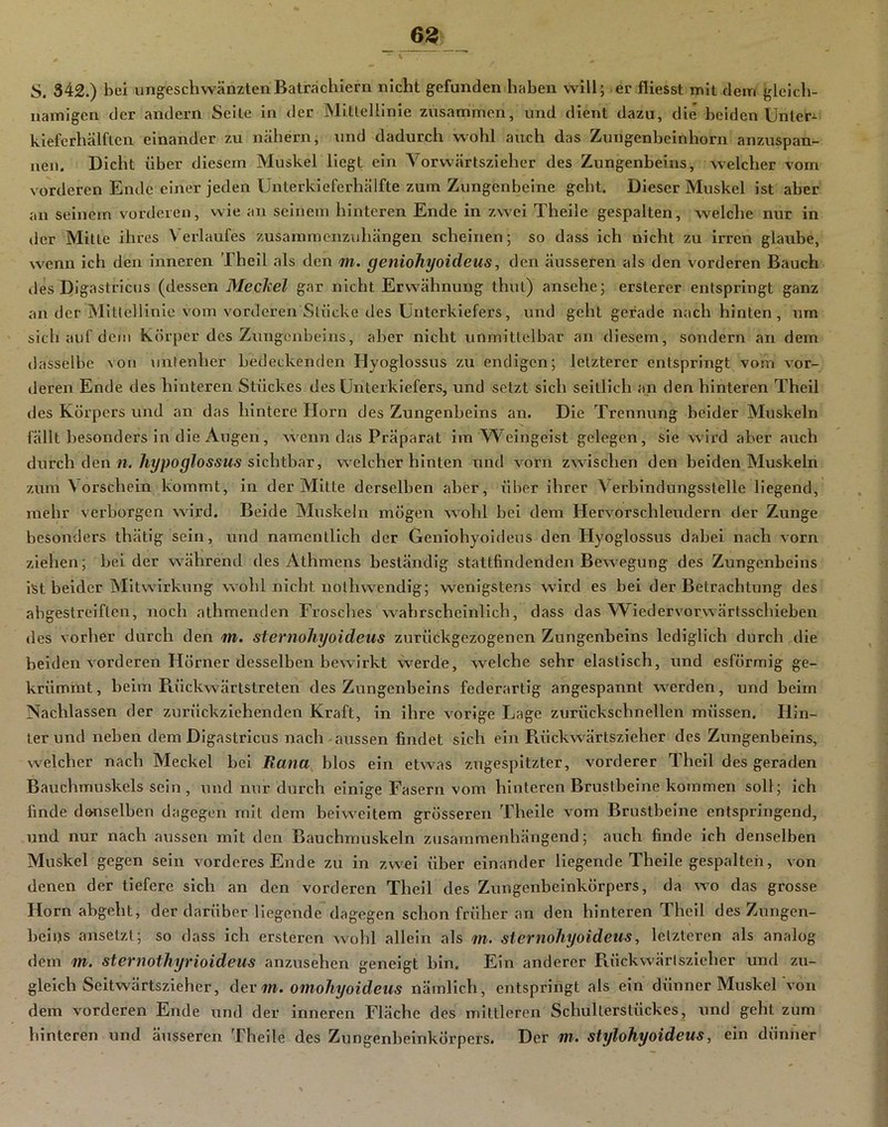 S. 342.) bei ungeschwänztenBatrachiern nicht gefunden haben will; er fliesst mit dem gleich- namigen der andern Seile in der Mitlellinie zusammen, und dient dazu, die beiden Unler- kieferhälflcn einander zu nähern, und dadurch wohl auch das Zungenbeinhorn anzuspan- neii. Dicht über diesem Muskel liegt ein Vorwärtszieher des Zungenbeins, welcher vom vorderen Ende einer jeden Unterkieferhälfte zum Zungenbeine geht. Dieser Muskel ist aber an seinem vorderen, vvie an seinem hinteren Ende in zwei Theile gespalten, welche nur in der Mitte ihres Verlaufes zusammenzuhängen scheinen; so dass ich nicht zu irren glaube, wenn ich den inneren Thell als den m. geniohyoideus, den äusseren als den vorderen Bauch des Dlgastricus (dessen Mec/ieü gar nicht Erwähnung thut) ansehe; ersterer entspringt ganz an der Mittellinie vom vorderen Stücke des Unterkiefers, und geht gerade nach hinten, um sich auf dem Körper des Zungenbeins, aber nicht unmittelbar an diesem, sondern an dem dasselbe von untenher bedeckenden Hyoglossus zu endigen; letzterer entspringt vo.m vor- deren Ende des hinteren Stückes des Unterkiefers, und setzt sich seitlich an den hinteren Theil des Körpers uiid an das hintere Horn des Zungenbeins an. Die Trennung beider Muskeln fällt besonders in die Augen, wenn das Präparat im W^eingeist gelegen, sie wird aber auch durch den w. 7iJ/po^?OÄ5M5 sichtbar, welcher hinten und vorn zwischen den beiden Muskeln zum Vorschein kommt, in der Mitte derselben aber, über ihrer Verbindungsstelle liegend, mehr verborgen wird. Beide Muskeln mögen wohl bei dem Hervorschleudern der Zunge besonders thätig sein, und namentlich der Geniohyoideus den Hyoglossus dabei nach vorn ziehen; beider während des Athmens beständig stattfindenden Bewegung des Zungenbeins ist beider Mitwirkung wohl nicht nothwendig; wenigstens wird es bei der Betrachtung des abgestreiflen, noch athmenden Frosches wahrscheinlich, dass das Wiedervorwärtsschieben des vorher durch den m. sternohyoideus zurückgezogenen Zungenbeins lediglich durch die beiden vorderen Hörner desselben bewirkt werde, welche sehr elastisch, und esförmig ge- krümmt , beim Piückwärtstreten des Zungenbeins federartig angespannt vv^erden, und beim Nachlassen der zurückziehenden Kraft, in ihre vorige Lage zurückschnellen müssen. Hin- ter und neben dem Dlgastricus nach-aussen findet sich ein Rückwärtszieher des Zungenbeins, welcher nach Meckel bei Rana blos ein etwas zugespitzter, vorderer Theil des geraden Bauchmuskels sein, und nur durch einige Fasern vom hinteren Brustbeine kommen soll; ich finde dö-nselben dagegen mit dem beiweitem grösseren Theile vom Brustbeine entspringend, und nur nach aussen mit den Bauchmuskeln zusammenhängend; auch finde ich denselben Muskel gegen sein vorderes Ende zu in zw«i über einander liegende Theile gespalten, von denen der tiefere sich an den vorderen Theil des Zungenbeinkörpers, da wo das grosse Horn abgeht, der darüber liegende dagegen schon früher an den hinteren Theil des Zungen- beiijs ansetzt; so dass ich ersteren wohl allein als m. sternohyoideus, letzteren als analog dem m. sternothyrioideus anzusehen geneigt bin. Ein anderer Piückwärlszlcher und zu- gleich Seitwärtszieher, der m. omohyoideus nämlich, entspringt als ein dünner Muskel von dem vorderen Ende und der inneren Fläche des mittleren Schulterstückes, und geht zum hinteren und äusseren Theile des Zungenbeinkörpers. Der m. stylohyoideus, ein dünner