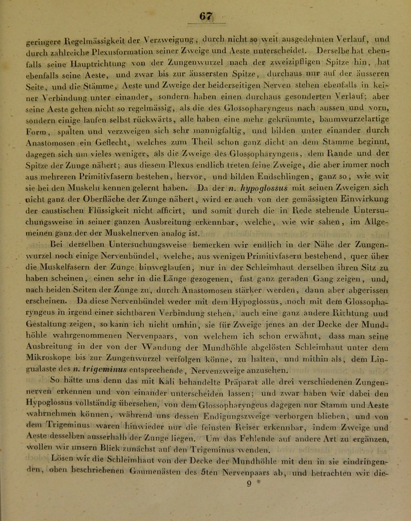 geringere rvegclinässlgkeit der Verzweigung, durch nicht so weit ausgedehnten Verlauf, und durch zahlreiclie Plexusforniatlon seiner Zweige und Aeste unterscheidet. Derselbe hat eben- falls seine Ilauptrichtung von der Zungenwurzel nach der zweizipfligen Spitze hin, hat ebenfalls seine Aeste, und zwar bis zur äussersten Spitze, tlurchaus nur auf der äusseren Seile, und die Stämme, Aeste und Zweige der beiderseitigen Nerven sichen ebenfalls in kei- ner Verbindung unter einander, sondern- haben einen durchaus gesonderten \'erlauf; aber seine Aeste gehen nicht so regelmässig, als die des Glossopharyngeus nach aussen und vorn, sondern einige laufen selbst rückwärts, alle haben eine mehr gekrümmte, baumwurzelartige Form, spalten und verzweigen sich sehr mannigfaltig, und bilden unter einander durch Anastomosen ein Geflecht, welches zum Theil schon ganz dicht an dem Stamme beginnt, dagegen sich um vieles weniger, als die Zweige des Glossopharyngeus, dem Fiande und der Spitze der Zunge nähert; aus diesem Plexus endlich treten feine Zweige, die aber immer noch aus mehreren Primitivfasern bestehen, hervor, und bilden Endschlingen, ganz so , wie wir sie bei den Muskeln kennen gelernt haben. Da der n. hypoglossus mit seinen Zweigen sich nicht ganz der Oberfläche der Zunge nähert, wird er auch von der gemässigten Einwirkung der caustischen Flüssigkeit nicht afficirt, und somit durch die in Rede stehende Untersu- chungsvveise in seiner ganzen Ausbreitung erkennbar, welche, wie wir sahen, im Allge- meinen ganz der der Muskelnerven analog ist. Bei derselben Untersuchungsweise bemerken wir endlich in der Nähe der Zungen- wurzel noch einige Nervenbündel, welche, aus wenigenPrimilivfasern bestehend, quer über die Muskelfasern der Zunge hinweglaufen, nur in der Schleimhaut derselben ihren Sitz zu haben scheinen, einen sehr in die Länge gezogenen, fast ganz geraden Gang zeigen, und, nach beiden Seiten der Zunge zu, durch Anastomosen stärker werden, dann aber abgerissen erscheinen. Da diese Nervenbündel weder mit dem Hypoglossus, .noch mit dom Glossopha- ryngeus in irgend einer sichtbaren Verbindung stehen, auch eine ganz andere Richtung und Gestaltung zeigen, so kann ich nicht umhin, sie für Zweige jenes an der Decke der Mund- höhle wahrgenommenen Nervenpaars, von welchem ich schon erwähnt, dass man seine Ausbreitung in der von der Wandung der Mundhöhle abgelösten Schleimhaut unter dem Mikroskope bis zur Zungenwurzel verfolgen könne, zu halten, und mithin als, dem Lin- gualaste des n. irigeminiis entsprechende. Nervenzweige anzuschen. So hätte uns denn das mit Kali behandelte Prä parat alle drei verschiedenen Zungen- nervon erkennen und von einander unterscheiden lassen; und zwar haben \vir dabei den HyP^S^ossus vollständig übersehen, von dem Glossopharyngeus dagegen nur Stamm und Aeste wahrnehmen können, wäbrend uns dessen Endigungszweige verborgen blieben, und von dem liigeminus waren hinwieder nur die feinsten Piciser erkennbar, indem Zweige und Aeste desselben ausserhall) der Z>inge liegen. Um das Fehlende auf andere Art zu ergänzen, wollen wir unsern Blick zunächst auf den Trigeminus w enden. Lösen wir die Schleimhaut von der Decke der Mundhöhle mit den in sie eindringen- den, oben beschriebenen Ganmenästen des 5len Nervenpaars ab, und betrachten wir die- 9 *