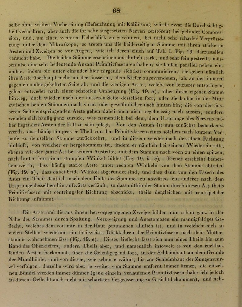selbe ohne weitere Vorbereitung (Befeuchtung mit Kalilösung würde zwar die Durchsichtig- keit vermehren, aber auch die ihr sehr ausgesetzten Nerven zerstören) bei gelinder Compres- sion, und, um einen weiteren Ueberblick zu gewinnen, bei nicht sehr scharfer Vergrösse- rung unter dem Mikroskope, so treten uns die beiderseitigen Stämme mit ihren stärkeren Aesten und Zweigen so vor Augen, wüe ich deren einen auf Tab. I. Fig. 19. darzustellen versucht habe. Die beiden Stämme erscheinen ansehnlich stark, und sehr fein gestreift, müs- sen also eine sehr bedeutende Anzahl Primitivfasern enthalten; sie laufen parallel neben ein- ander, indem sie unter einander hier nirgends sichtbar communlciren; sie geben nämlich ihre Aeste überhaupt mehr an der äusseren, dem Kiefer zngewendeten, als an der inneren gegen einander gekehrten Seite ab, und die wenigen Aeste, welche von letzterer entspringen, * gehen entweder nach einer schroffen Umbeugung (Fig. 19. a), über ihren eigenen Stamm hinweg, doch wieder nach der äusseren Seite desselben fort, oder sie laufen in der Milte zwischen beiden Stämmen nach vorn, oder gewöhnlicher nach hinten hin; die von der äus- seren Seite entspringenden Aeste gehen dabei auch nicht regelmässig nach aussen, sondern wenden sich häufig ganz zurück, was namentlich bei den, dem Ursprünge des Nervens nä- her liegenden Aesten der Fall zu sein pflegt. Von den Aesten ist nun zunächst bemerkens- werth, dass häufig ein grosser Theil von den Primitivfasern-eines solchen nach kurzem Ver-, laufe zu demselben Stamme zurückkehrt, und in diesem wieder nach derselben Richtung hinläuft, von welcher er hergekommen ist, indem er nämlich bei seinem Wiedereintritte, ' ebenso wie der ganze Ast bei seinem Austritte, mit dem Stamme nach vorn zu einen spitzen, nach hinten hin einen stumpfen Winkel bildet (Fig. 19. &, c). Ferner erscheint berner- kenswerth, dass häufig starke Aeste unter rechten Winkeln von dem Stamme abtreten (Fig. 19. d), dass dabei beide Winkel abgerundet sind, und dass dann von den Fasern des Astes ein Theil deutlich nach dem Ende des Stammes zu abwärts, ein anderer nach dem Ursprünge desselben hin aufwärts verläuft, so dass mithin der Stamm durch diesen Ast theils Primitivfasern mit centrifugaler Richtung abschickt, theils dergleichen mit centripetaler Fliehlung aufnimmt. Die Aeste und die aus ihnen hervorgegangenen Zweige bilden nun schon ganz In der Nähe des Stammes durch Spaltung, Verzweigung und Anastomosen ein mannigfaltiges Ge- flecht, welches dem von mir in der Haut gefundenen ähnlich ist, und in Avelchem sich an vielen Stellen wiederum ein iheilvvelses Rückkehren der Primitivfasern nach dem Mutier- stamme wahrnehmen lässt (Fig. 19. e). Dieses Geflecht lässt sich nun eines Theils bis zum Rand des Oberkiefers, andern Theils aber, und namentlich insoweit cs von den rücklau- fenden Aesten herkommt, über die Gelenkgegend fort, in der Schleimhaut an dem Grunde der Mundhöhle, und von dieser, wie schon erwähnt, bis zur Schleimhaut der Zungenwur- zel verfolgen; dasselbe wird aber je weiter vom Stamme entfernt immer ärmer, die einzel- nen Bündel werden immer dünner (ganz einzeln verlaufende Primitivfasern habe Ich jedoch in diesem Geflecht auch nicht mit schärfster Vergrösserung zu Gesicht bekommen), und neh- \