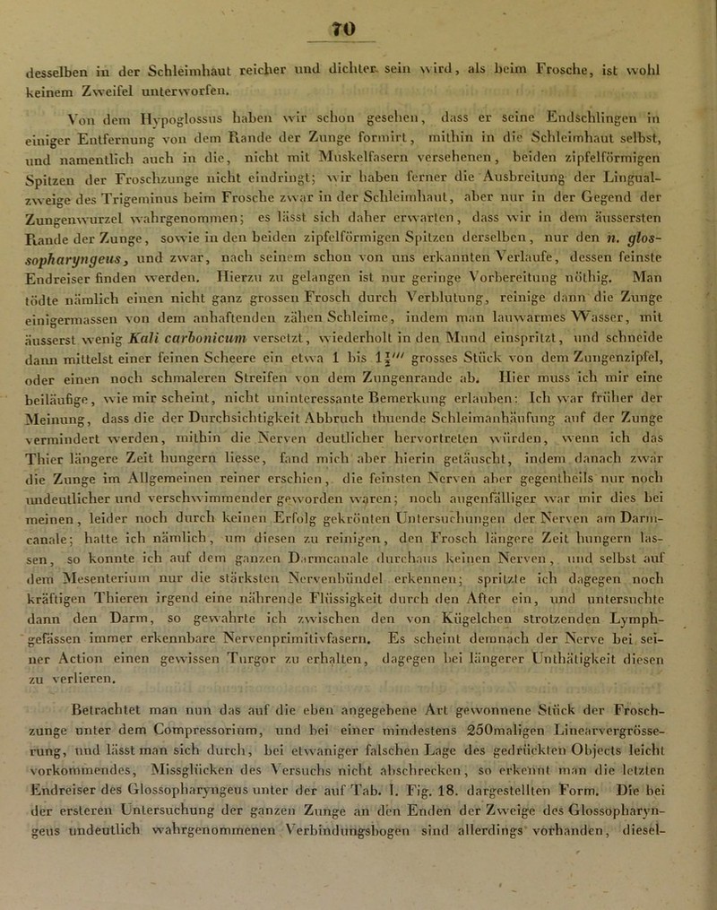TO desselben in der Schleimhaut reicher und dichter, sein wird, als beim Frosche, ist wohl keinem Zweifel unterworfen. Von dem Hvpoglossus haben wir schon gesehen, dass er seine Endschlingen in einiger Entfernung von dem Rande der Zunge formlrt, mithin in die Schleimhaut selbst, und namentlich auch in die, nicht mit Muskelfasern versehenen, beiden zipfelförmigen Spitzen der Froschzunge nicht eindringt; wir haben ferner die Ausbreitung der Lingual- zweige des Trigeminus beim Frosche zwar in der Schleimhaut, aber nur in der Gegend der Zungenwurzel wahrgenommen; es lässt sich daher erwarten, dass wir in dem äussersten Fiande der Zunge, sowie in den beiden zipfelförmigen Spitzen derselben, nur den n. glos- sopharyttgeus, und zwar, nach seinem schon von uns erkannten Verlaufe, dessen feinste Endreiser finden werden. Hierzu zu gelangen ist nur geringe Vorbereitung nöthig. Man tödte nämlich einen nicht ganz grossen Frosch durch Verblutung, reinige dann die Zunge einigerraassen von dem anhaftenden zähen Schleime, indem man lauwarmes Wasser, mit äusserst wenig Kali carhonicum versetzt, wiederholt in den Mund einspritzt, und schneide dann mittelst einer feinen Scheere ein etwa 1 bis grosses Stück von dem Znngenzipfel, oder einen noch schmaleren Streifen von dem Znngenrande ab. Hier muss ich mir eine beiläufige, wie mir scheint, nicht uninteressante Bemerkung erlauben: Ich war früher der Meinung, dass die der Durchsichtigkeit Abbruch thuende Schleimanhäufung auf der Zunge vermindert werden, mithin die Nerven deutlicher hervortreten würden, wenn ich das Thier längere Zeit hungern Hesse, fand mich aber hierin getäuscht, indem danach zw'är die Zunge im Allgemeinen reiner erschien, die feinsten Nerven aber gegenlhells nur noch rmdeutlicher und verschwimmender ge^worden w^aren; noch augenfälliger war mir dies bei meinen, leider noch durch keinen Erfolg gekrönten Untersuchungen der Nerven am Darm- canale; halte ich nämlich, um diesen zu reinigen, den Frosch längere Zeit hungern las- sen, so konnte ich auf dem ganzen D.irmcanale durchaus keinen Nerven, und selbst auf dem Mesenterium nur die stärksten Nervenbündel erkennen; spritzte ich dagegen noch kräftigen Thieren irgend eine nährende Flüssigkeit durch den After ein, und untersuchte dann den Darm, so gewahrte ich zwischen den von Kügelchen strotzenden Lymph- gefässen immer erkennbare Nervenprimitlvfasern. Es scheint demnach der Nerve bei sei- ner Actlon einen gewn’ssen Turgor zu erhalten, dagegen bei längerer Unthätigkeit diesen zu verlieren. Betrachtet man nun das auf die eben angegebene Art gewonnene Stück der Frosch- zunge unter dem Compressorium, und bei einer mindestens 250maligen Linearvergrösse- rung, und lässt man sich durch, bei etw^aniger falschen Lage des gedrückten Objects leicht vorkommendes. Missglücken des \ ersuchs nicht abschrecken, so erkennt man die letzten Endreiser des Glossopharyngeus unter der auf Tab. I, Fig. 18. dargestellten Form, Die bei der ersteren Untersuchung der ganzen Zunge an den Enden der Zw'eige des Glossopharyn- geus undeutlich w^ahrgenommenen V'^erbindungsbogen sind allerdings'vorhanden, diesel-