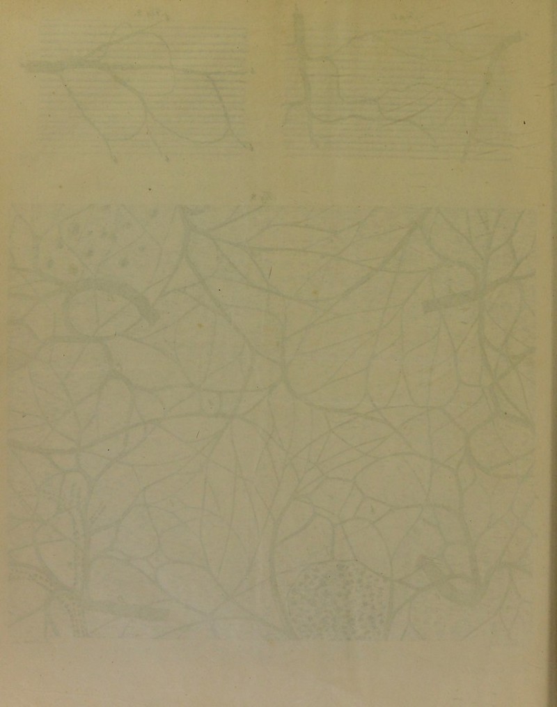 .J? •#. ^ *:*■ X ■ ,' . «•* :'.’■ ^r v-v-- ■ ■'■ ■■•• « > -1 r •#'^‘ * Hk?- ** ‘V'- ” i; ■ • J - i“ >■ . i; # . -.^ - • ^irr-»:'.' •'/' . ■ ;. -i • Ä'- ,• “ • \ 'V^< ■ - V' ■■- .. \../. . J , \ *■* I ■ r-ß^k:- , , k A «<' >■ \ \ r 4 'A^' \ i A /V f f/ \a ' V >. . «r ^ ■ .. »■ «■ s. A ■' fy f\y y <r-: ''‘A ■'« yA^'■‘•^ i ' V/^/Vk Mi j& 4* * ^ *v iÄ. äflsäiir.'i. %, .• %fe-: .' «; 0 t L ■-’ y ^ ^ .1,^' . l'ßf : • / W¥ r. 1, # . 'Ai^V ^ . «^*V