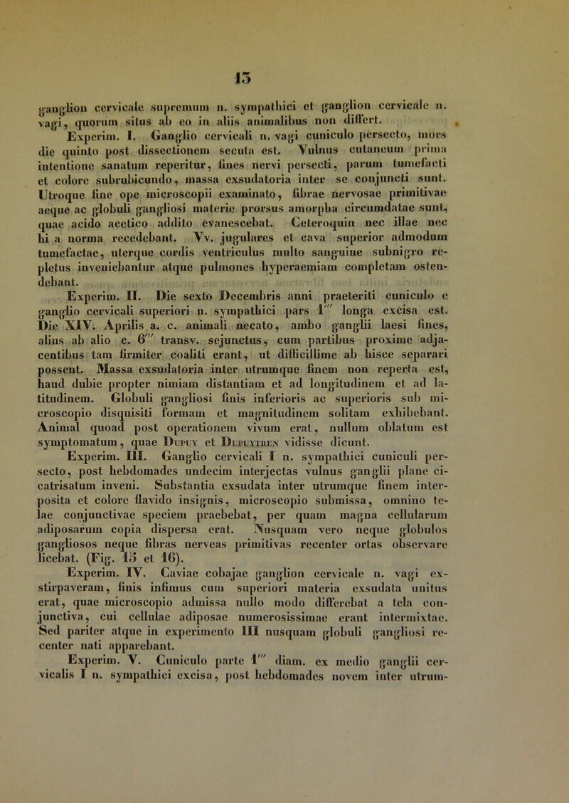 15 ganglion cervicale supremum n. sympathici et ganglion cervicale n. vagi, quorum silus ab eo in aliis animalibus non differt. Experim. I. Ganglio cervicali n. vagi cuniculo persecto, mors dic quinto post dissectionem secuta est. Vulnus cutaneum prima intentione sanatum reperitur, lines nervi persecti, parum tumefacti et colore subrubicundo, massa exsudatoria inter se conjuncti sunt. Utroque line ope microscopii examinato, fibrae nervosae primitivae aeque ac globuli gangliosi materie prorsus amorpha circumdatae sunt, quae acido acetico addito evanescebat. Ceteroquin nec illae nec hi a norma recedebant. Vv. jugulares et cava superior admodum tumefactae, uterque cordis ventriculus multo sanguine subnigro re- pletus inveniebantur atque pulmones hyperaemiam completam osten- debant. Experim. II. Die sexto Decembris anni praeteriti cuniculo e ganglio cervicali superiori n. sympathici pars 1' longa excisa est. Die XIV. Aprilis a. c. animali necato, ambo ganglii laesi fines, alius ab alio c. 6' transv. sejunctus, cum partibus proxime adja- centibus tam firmiter coaliti erant, ut difficillime ab hisce separari possent. Massa exsudatoria inter ulrumquc finem non reperta est, haud dubie propter nimiam distantiam et ad longitudinem et ad la- titudinem. Globuli gangliosi finis inferioris ac superioris sub mi- croscopio disquisiti formam et magnitudinem solitam exhibebant. Animal quoad post operationem vivum erat, nullum oblatum est symptomatum, quae Dufuy et Dufuytren vidisse dicunt. Experim. III. Ganglio cervicali I n. sympathici cuniculi per- secto, post hebdomades undecim interjectas vulnus ganglii plane ci- catrisatum inveni. Substantia exsudata inter utrumque finem inter- posita et colore flavido insignis, microscopio submissa, omnino te- lae conjunctivae speciem praebebat, per quam magna cellularum adiposarum copia dispersa erat. Nusquam vero neque globulos gangliosos neque fibras nerveas primitivas recenter ortas observare licebat. (Fig. 16 et 16). Experim. IV. Caviae cobajac ganglion cervicale n. vagi ex- stirpaveram, finis infimus cum superiori materia exsudata unitus erat, quae microscopio admissa nullo modo differebat a tela con- junctiva, cui cellulae adiposae numerosissimae erant intermixtae. Sed pariter atque in experimento III nusquam globuli gangliosi re- center nati apparebant. Experim. V. Cuniculo parte M diam, ex medio ganglii cer- vicalis I n. sympathici excisa, post hebdomades novem inter utrum-