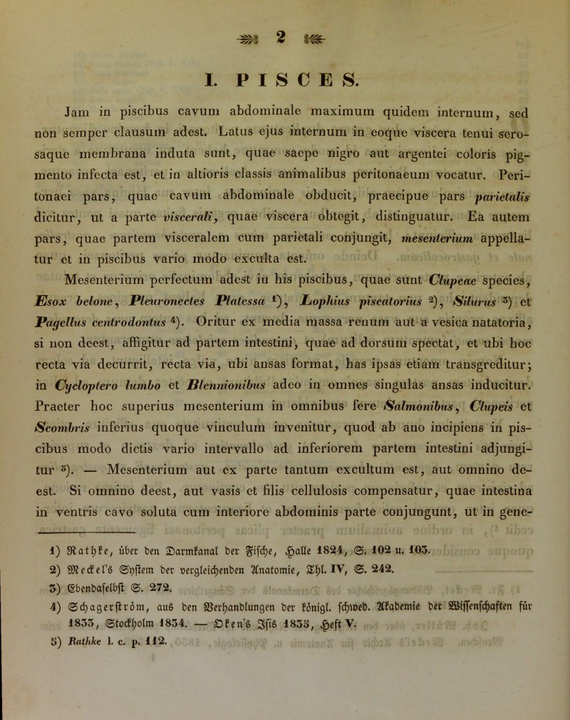 I. PISCES. Jam in piscibus cavum abdominale maximum quidem internum, sed non semper clausum adest. Latus ejus internum in eoque viscera tenui sero- saque membrana induta snnt, quae saepe nigro aut argentei coloris pig- mento infecta est, et in altioris classis animalibus peritonaeum vocatur. Peri- tonaei pars, quae cavum abdominale obducit, praecipue pars parietalis dicitur, ut a parte viscerali, quae viscera obtegit, distinguatur. Ea autem pars, quae partem visceralem cum parietali conjungit, mesenterium appella- tur et in piscibus vario modo exculta est. Mesenterium perfectum adest in his piscibus, quae sunt Clupeae species, Esox bclonc, Plcuronectes Platessa 1), Lophius piscatorius 2), Silurus 5) et Pagellxis centrodontus 4). Oritur ex media massa renum aut a vesica natatoria, si non deest, affigitur ad partem intestini, quae ad dorsum spectat, et ubi hoc recta via decurrit, recta via, ubi ansas format, has ipsas etiam transgreditur; in Cycloptero lumbo et Blennionibus adeo in omnes singulas ansas inducitur. Praeter hoc superius mesenterium in omnibus fere Salmonibus, Clupeis et Scombris inferius quoque vinculum invenitur, quod ab ano incipiens in pis- cibus modo dictis vario intervallo ad inferiorem partem intestini adjungi- tur s). — Mesenterium aut ex parte tantum excultum est, aut omnino de- est. Si omnino deest, aut vasis et filis cellulosis compensatur, quae intestina in ventris cavo soluta cum interiore abdominis parte conjungunt, ut in gene- - 1) Slatfyfe, uber ben ©armfanal ber ^ifdhe, ^)aUe 1824, ©, 102 u. 103. 2) SttecfefS ©bftem ber ttergteicfyenben 2fnatomie, IV, @. 242. 3) Qibenbafelbfi <S. 272. 4) (gcfyagerftrom, auS ben SSerfyanbhmgen ber fonigl. fcf)N>eb. 2(fabemie ber S55iffenfcf>aften fur 1833, ©tocf&olm 1834. — £)fen’6 Sj?S 1833, £eft V.