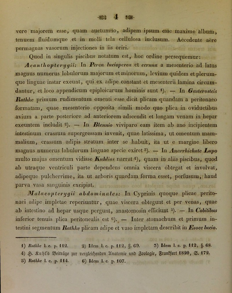 •f)! 4 It- vere majorem esse, quam auctumno, adipem ipsum esse maxime album, tenuem fluidumque et in molli tela cellulosa inclusum. Accedente aere permagnas vasorum injectiones in iis oriri. Quod in singulis piscibus notatum est, hoc ordine persequemur: Acanthopterygii: In Perca lucioperca ct cernua a mesenterio ad latus magnus numerus lobulorum majorum et minorum, levium quidem et plerum- que linguae instar exeunt, qui ex adipe constant ct mesenterii lamina circum- dantur, et loco appendicum epiploicarum hominis sunt *). — In Gasterostcis Rathke primum rudimentum omenti esse dicit plicam quandam a peritonaeo formatam, quae mesenterio opposita simili modo quo plica in oviductibus avium a parte posteriore ad anteriorem adseendit et longam venam in hepar exeuntem includit 2). — In Biennio viviparo eam item ab ano incipientem intestinum crassum supergressam invenit, quae latissima, ut omentum mam- malium, crassum adipis stratum inter se habuit, ita ut e margine libero magnus numerus labulorum linguae specie exiret 3). — In Anarrhichate Lupo multo majus omentum vidisse Ruhlius narrat4 5), quam in aliis piscibus, quod ab utraque ventriculi parte dependens omnia viscera obtegat et involvat, adipeque pulcherrime, ita ut arboris quaedam forma esset, perfusum, haud parva vasa sanguinis excipiat. J\I alae opter y gii abdominales: In Cyprinis quoque plicae perito- naei adipe impletae reperiuntur, quae viscera obtegunt et per venas, quae ab intestino ad hepar usque pergunt, anastomosin efficiunt y). — In Colitibus inferior tenuis plica peritonealis est G). — Inter stomachum et primum in- testini segmentum Rathke plicam adipe ct vaso impletam describit in Esoce lucio. 1) Rathke 1. c. p. 112. 2) Idem 1. c. p. 112, §. 00. 5) Idem 1. c. p. 112, §. 68. 4) 93eitraqe gur uergtdcfyenben 2Cnafomie unb Soologie, granffuvt 1820, <3.172.