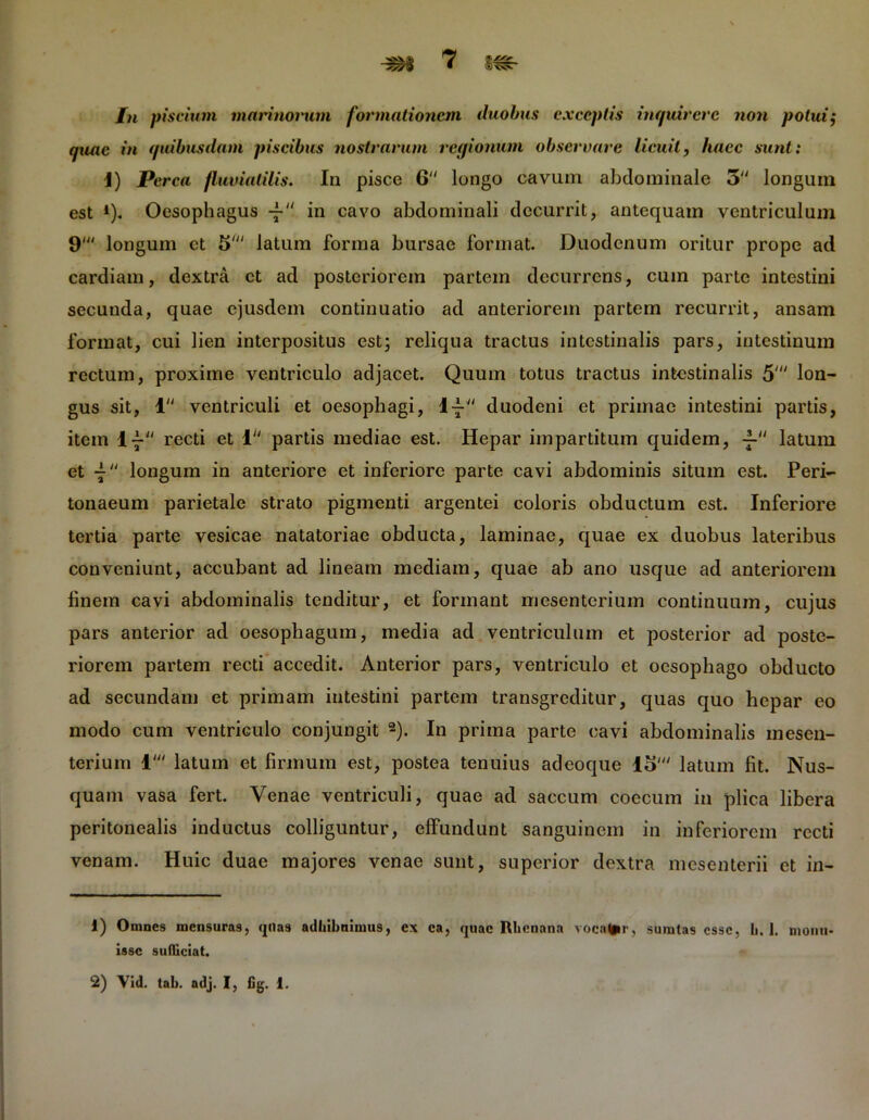 ^79 ■ axsN /n piscium marinorum formationem duobus exceptis inquirere non potui; quae in quibusdam piscibus nostrarum regionum observare licuit, haec sunt: J) Perca fluviatilis. In pisce 6 longo cavum abdominale 5 longum est 4). Oesophagus -f in cavo abdominali decurrit, antequam ventriculum 9' longum et 5' latum forma bursae format. Duodenum oritur prope ad cardiam, dextra et ad posteriorem partem decurrens, cum parte intestini secunda, quae ejusdem continuatio ad anteriorem partem recurrit, ansam format, cui lien interpositus est; reliqua tractus intestinalis pars, intestinum rectum, proxime ventriculo adjacet. Quum totus tractus intestinalis 5' lon- gus sit, 1 ventriculi et oesophagi, duodeni et primae intestini partis, item 4-i- recti et 1 partis mediae est. Hepar impartitum quidem, -f latum et longum in anteriore et inferiore parte cavi abdominis situm est. Peri- tonaeum parietale strato pigmenti argentei coloris obductum est. Inferiore tertia parte vesicae natatoriae obducta, laminae, quae ex duobus lateribus conveniunt, accubant ad lineam mediam, quae ab ano usque ad anteriorem finem cavi abdominalis tenditur, et formant mesenterium continuum, cujus pars anterior ad oesophagum, media ad ventriculum et posterior ad poste- riorem partem recti accedit. Anterior pars, ventriculo et oesophago obducto ad secundam et primam intestini partem transgreditur, quas quo hepar eo modo cum ventriculo conjungit 1 2). In prima parte cavi abdominalis mesen- terium 1' latum et firmum est, postea tenuius adeoque io' latum fit. Nus- quam vasa fert. Venae ventriculi, quae ad saccum coecum in plica libera peritonealis inductus colliguntur, effundunt sanguinem in inferiorem recti venam. Huic duae majores venae sunt, superior dextra mesenterii et in- 1) Omnes mensuras, quas adhibuimus, ex ca, quae Rhenana voea(pr, sumtas esse, h. 1. monu- isse sufficiat.