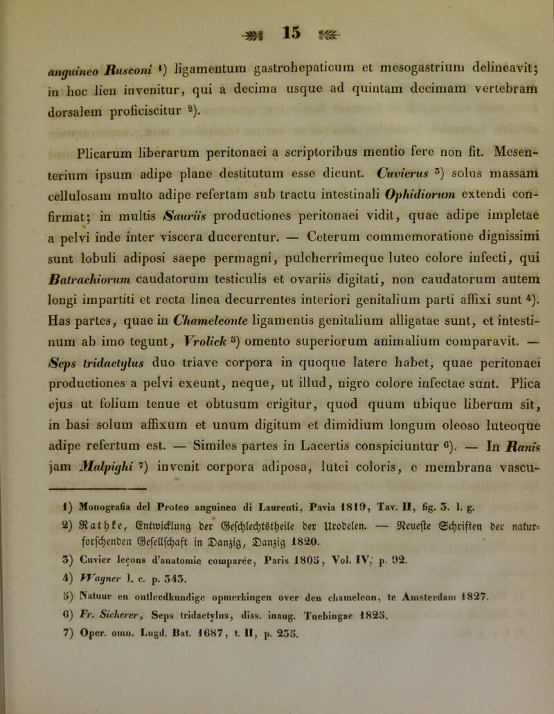 anguineo Rustoni *) ligamentum gastrohepaticum et mesogastrium delineavit; in hoc lien invenitur, qui a decima usque ad quintam decimam vertebram dorsalem proficiscitur 1 2). Plicarum liberarum peritonaei a scriptoribus mentio fere non fit. Mesen- terium ipsum adipe plane destitutum esse dicunt. Cuvieims 3) solus massam cellulosam mullo adipe refertam sub tractu intestinali Ophidionim extendi con- firmat; in multis Sauriis productiones peritonaei vidit, quae adipe impletae * a pelvi inde inter viscera ducerentur. — Ceterum commemoratione dignissimi sunt lobuli adiposi saepe permagni, pulcherrimeque luteo colore infecti, qui Batrachiorum caudatorum testiculis et ovariis digitati, non caudatorum autem longi impartiti et recta linea decurrentes interiori genitalium parti affixi sunt 4 *). Has partes, quae in Chameleonte ligamentis genitalium alligatae sunt, et intesti- num ab imo tegunt, Vrolick omento superiorum animalium comparavit. — Seps tridactylus duo triave corpora in quoque latere habet, quae peritonaei productiones a pelvi exeunt, neque, ut illud, nigro colore infectae sunt. Plica ejus ut folium tenue et obtusum erigitur, quod quum ubique liberum sit, in basi solum affixum et unum digitum et dimidium longum oleoso luteoque adipe refertum est. — Similes partes in Lacertis conspiciuntur 6). — In Ranis jam Malpigld 7) invenit corpora adiposa, lutei coloris, e membrana vascu- fer 1) Monografia dei Proteo anguineo di Laurenti, Pavia 1810, Tav. 11, fig. 5. 1. g. 2) ©nfroicbung ber ©efd;led;t§tf;eUe ber ituobelcn. — Sfauejie <Sd;riften bet n<rtnr= forfdjenbeit ©efeUfd)aft in £)anjig, iDanjtg 1820. 3) Cuvier lccons d’anutoinic comparce, Paris 1803, Vol. IV,' p. 02. 4) fVagner 1. c. p. 345. 8) IVatuur cn ontlecdkuudigc opmcrkingen over deu chatncleon, te Amstcrdain 1827. C) Fr. Sicherer, Seps tridactylus, diss. inaug. Tuebingae 1825. 7) Oper. oinn. Lugd. Hat. 1G87, t. II, p. 235.