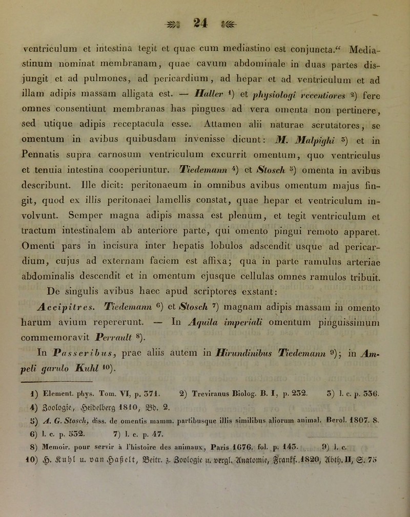 ventriculum et intestina tegit et quae cum mediastino est conj uncta.“ Media- stinum nominat membranam, quae cavum abdominale in duas partes dis- jungit et ad pulmones, ad pericardium, ad hepar et ad ventriculum et ad illam adipis massam alligata est. — Haller *) et physiologi rccenliores 2) fere omnes consentiunt membranas has pingues ad vera omenta non pertinere, sed utique adipis receptacula esse. Attamen alii naturae scrutatores, se omentum in avibus quibusdam invenisse dicunt: M. Malpighi 5 6) et in Pennatis supra carnosum ventriculum excurrit omentum, quo ventriculus et tenuia intestina cooperiuntur. Tiedeman* n 4) et Slosch s) omenta in avibus describunt. Ille dicit: peritonaeum in omnibus avibus omentum majus fin- git, quod ex illis peritonaei lamellis constat, quae liepar et ventriculum in- volvunt. Semper magna adipis massa est plenum, et tegit ventriculum et tractum intestinalem ab anteriore parte, qui omento pingui remoto apparet. Omenti pars in incisura inter hepatis lobulos adseendit usque ad pericar- dium, cujus ad externam faciem est affixa; qua in parte ramulus arteriae abdominalis descendit et in omentum ejusque cellulas omnes ramulos tribuit. De singulis avibus haec apud scriptores exstant: Accipitres. Tiedemann G) et Slosch 7) magnam adipis massam in omento harum avium repererunt. — In Aquila imperiali omentum pinguissimum commemoravit Perrault 8). In Passeribus, prae aliis autem in Hirundinibus Tiedemann 9); in Am- peli gando Kuhl ,0). 1) Element. phys. Tom. VI, p. 371. 2) Treviranus Biolog. B. I, p. 252. 5) 1. c. p. 53G. 4) 3oologie, ^eibetberg 1810, 23b. 2. i>) A. G. Stosch, diss. cie omentis mawm. partibusque illis similibus aliorum animal. Berol. 1807. 8. 6) 1. c. p. 352. 7) 1. c. p. 47. 8) Mcmoir. pour servir a riiistoirc des animaux, Paris 1G7G. fol. p. 145. 9) J. c. 10) Jr>. u. »an igjapclt, 23eitr. 5. 3oo(ogic u. yevgl. 2(natomie, granff.,1820, 2fbty.II, <§. 7i>