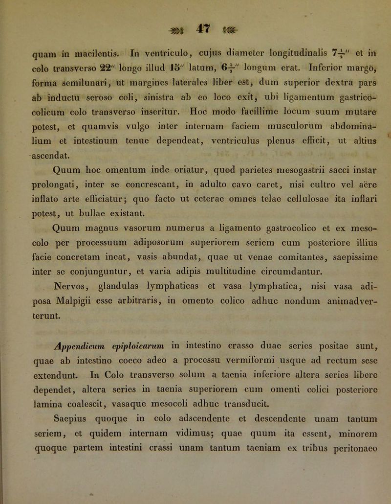 quam in macilentis. In ventriculo, cujus diameter longitudinalis 7-f et in colo transverso 22 longo illud J5 latum, 64- longum erat. Inferior margo, forma semilunari, ut margines laterales liber est, dum superior dextra pars ab inductu seroso coli, sinistra ab eo loco exit, ubi ligamentum gastrico- colicum colo transverso inseritur. Hoc modo facillime locum suum mutare potest, et quamvis vulgo inter internam faciem musculorum abdomina- lium et intestinum tenue dependeat, ventriculus plenus efficit, ut altius ascendat. Quum boc omentum inde oriatur, quod parietes mesogastrii sacci instar prolongati, inter se concrescant, in adulto cavo caret, nisi cultro vel aere inflato arte efficiatur; quo facto ut ceterae omnes telae cellulosae ita inflari potest, ut bullae existant. Quum magnus vasorum numerus a ligamento gastrocolico et ex meso- colo per processuum adiposorum superiorem seriem cum posteriore illius facie concretam ineat, vasis abundat, quae ut venae comitantes, saepissime inter se conjunguntur, et varia adipis multitudine circumdantur. Nervos, glandulas lymphaticas et vasa lymphatica, nisi vasa adi- posa Malpigii esse arbitraris, in omento colico adhuc nondum animadver- terunt. Appendicum epiploicanim in intestino crasso duae series positae sunt, quae ab intestino coeco adeo a processu vermiformi usque ad rectum sesc extendunt. In Colo transverso solum a taenia inferiore altera series libere dependet, altera series in taenia superiorem cum omenti colici posteriore lamina coalescit, vasaque mesocoli adhuc transducit. Saepius quoque in colo adseendente et descendente unam tantum seriem, et quidem internam vidimus; quae quum ita essent, minorem quoque partem intestini crassi unam tantum taeniam ex tribus peritonaeo