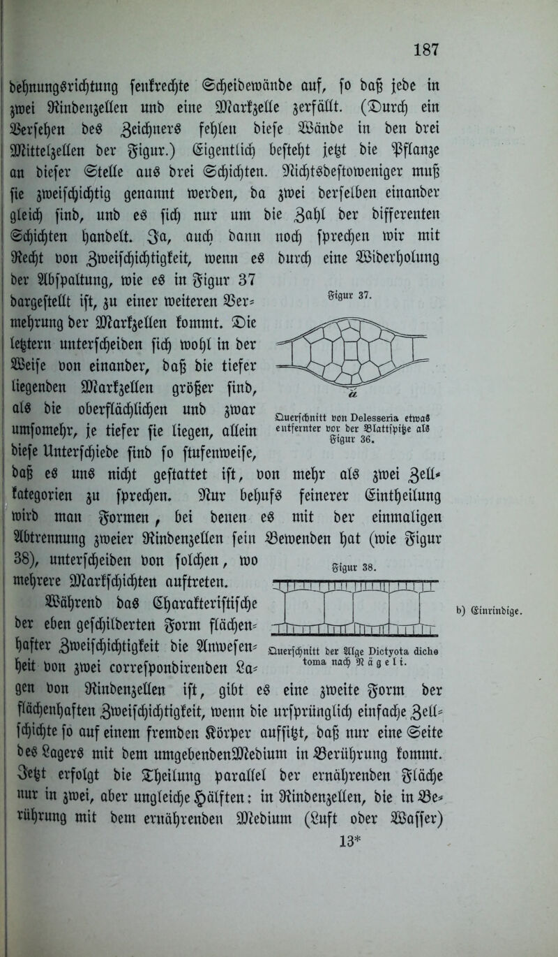 $tgur 37. öuerfcfmitt »ott Delesseria etroaS entfernter »ov ber 33Iattf:ptfee a!8 gtgur 36. beßnungSricßtung feufredjte ©c^etbetoärtbe auf, fo baß jebe in $mei Dftnbensellen unb eine aftarf^elle verfällt. (£)urdj ein SBerfeßen beS 3c^ner^ fehlen biefe 2öänbe in ben brci 3Jlitte^eltten ber gigur.) (Sigentlicb befielt fefct bie ^flan^e an biefer (Stelle aus brei (Scßicßten. üfticßtSbeftomeniger muß j fie jtpeifd^id^tig genannt Serben, ba $mei berfelben einanbev gleicf) finb, unb es fic§ nur um bie 3a^ ber bifferenteu Scfßcßten ßanbelt. 3a, auch bann nod) fpredtjen mir mit 9^ecf)t non 3toeifd^id)tigfeit, menn e$ burcß eine Siberßolung I ber Abfpattung, mie es in gigur 37 ; bargeftellt ift, $u einer meiteren 23er* nteßrung ber 3D7arf$ellen fommt. 5Die Intern unterfReiben fidfj moßf in ber Seife non einanber, baß bie tiefer liegenben ^arfjetten größer finb, als bie oberflächlichen unb jmar umfomeßr, je tiefer fie liegen, allein biefe Unterfcßiebe finb fo ftufenmeife, baß es uns nidjt geftattet ift, non meßr als jmei £eU* fategorien %u fpredfyen. beßufs feinerer ©nt^eilung mirb man formen , bei benen es mit ber einmaligen j Abtrennung jmeier ^HinbenjeHen fein 23emenben ßat (mie gigur | 38), unterfcßeiben non foldjen, mo | mehrere äRarlfd)icßten auftreten. Säßrenb baS (Sßarafteriftifdje ber eben gefdjilberten gorm fläcßem ^aftev 3weifcf)icf)tigfeit bie Slmuefen* QuerW„i,t ber sage pictyot. dich. fieit »on jroci comfpottbirenbejt 2a* toma na<? * “«‘1 '• gen non ^inbenjellen ift, gibt es eine jmeite gorm ber flächenhaften 3^eifcßidf)tig!eit, menn bie urfprünglicß einfache 3eHs: fcßicßte fo auf einem frembeu Körper auffifct, baß nur eine ©eite b es Sägers mit bem umgebenbenSUfebium in Söeriißrung fommt. 3efct erfolgt bie Steilung parallel ber ernäßrenben glädje nur in jmei, aber ungleiche §älften; in Dänben^ellen, bie in 23e* rührung mit bem eruäßrenben SJttebium (Suft ober Saffer) 13* gigur 38. b) (Sumnbtge.