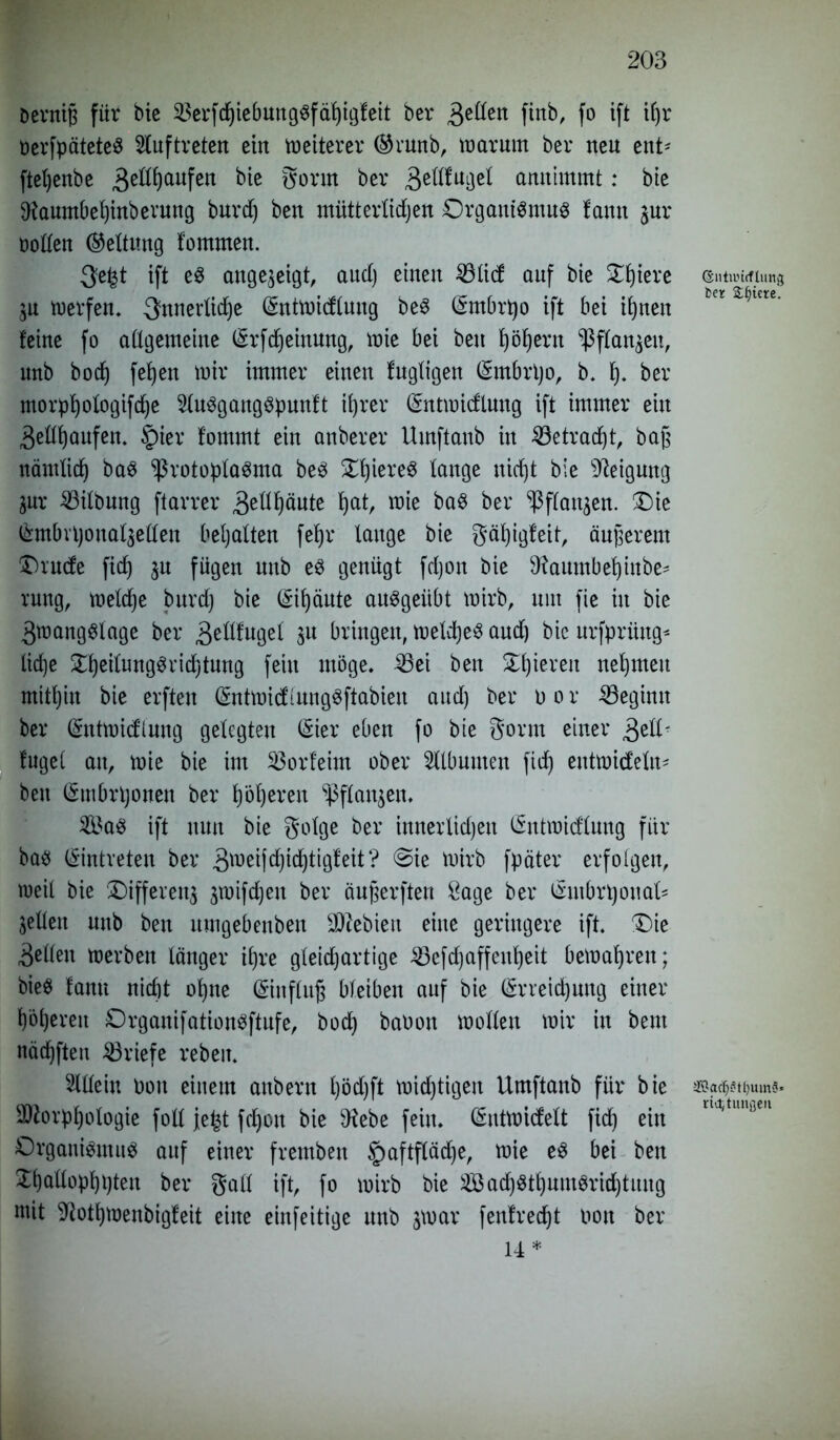 Devntg für bie $erfd)iebungsfäf)igfeit ber 3e^en ftnb, f° ift ifyr üerfpäteteS Auftreten ein weiterer ©runb, warum ber neu ent- fteljenbe 3e^aufen bie Sonn ber 3eflfui]et anuimmt: bie $aumbef)inberung burdj ben mütterlichen Organismus tarnt jur öoden (Rettung fommen. $e£t ift es augejeigt, aud) einen 23li(f auf bie £f)iere entwwiung ^feiere ju werfen. innerliche Gmtwidlung beS (Smbrpo ift bei ihnen feine fo allgemeine (£rfdjeinung, wie bei bett t)öf)ern Pflanken, unb boc^ fef)en wir immer einen fugligen (£mbrt)o, b. I). ber morphologifdje ^luSgangSpunft ibjrer (Sntwidluug ift immer ein 3edl)aufen. §)ier lommt ein anberer Umftaub in 33etrad)t, baß nämlidj baS Protoplasma beS Bieres tauge nid)t bie Neigung jur 23itbung ftarrer 3eUf)äute hat, wie baS ber Pflanjen. £)ie &mbn)ouatjellen begatten fetjr tauge bie gäl)igfeit, äußerem Orude ficf) ju fügen unb es genügt fd)on bie Diaumbetjiube- rung, weldje burd) bie Sitjäute auSgeiibt wirb, um fie in bie Zwangslage ber 3eßtugel ju bringen, welches and) bie urfprüng* lid)e ^eitungSridjtung fein möge. 23ei ben Spieren nehmen mithin bie erften (SntwictiungSftabieu aud) ber o o r beginn ber (Sntwidlung gelegten (Sier eben fo bie Sonn einer 3^10 fuget an, wie bie im Söorteim ober Sttbumen ficf) entwideln* ben (Smbrtjonen ber höheren Pflanzen. 2£as ift nun bie golge ber innerlichen öntwid'lung für bas Eintreten ber 3roeifdjidjtigfeit? @ie wirb fpäter erfolgen, weil bie Oifferenj jwifdjeu ber äufjerften Sage ber ^mbrponaU jeden unb ben itmgebenben SDZebieu eine geringere ift. £)ie 3eden werben länger ihre gleichartige 23efd)affeuf)eit bewahren; bieS fanu nicht ohne (Sinfluß bleiben auf bie (Erreichung einer höheren OrganifationSftufe, bod) babon wollen wir in beut nädjften Briefe rebeit. Sldein Don einem anbern l)öd)ft wid)tigeit Umftaub für bie ®acT;<?tl)uin3* Morphologie fotl }e£t fchou bie D^ebe fein. (Sntwidelt fid) ein lut/tlul!se'1 Organismus auf einer fremben Jiaftflädje, wie es bei ben £l)adopl)pteu ber gall ift, fo wirb bie ^ad)Stf)umSrid)tung mit ^othwenbigfeit eine einfeitige unb jwar fenfredjt oon ber 14*