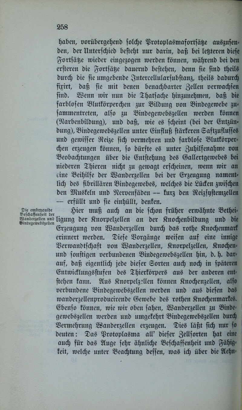 haben, norübergehenb fold^e ^rotoplaSmafortfätje au^ufem ben, ber UnterfdE)ieb befielt nur barin, bajs bei leiteten biefe gortfätje mieber eingegogen merben fönnen, roährenb bei ben erfteren bie gortfätje bauernb hefteten, benn fie finb tfjeifö burch bie fie umgebenbe Qnterceftularfubftan§, tf)eil3 baburdf) fijirt, bajs fie mit benen benachbarter Qtfcn oermachien finb. SSenn mir nun bie £hatfö(h)e ^trt^utte§men, bajs bie farbfofen Vlutförperdfjen §ur Gilbung non Vinbegemebe §u= fammentreten, atfo §u Vinbegemeb£§etten merben fönnen (^tarbenbilbung), unb bafj, mie e$ fd^eint (bei ber (Sntpn* bung), Vinbegemeb^eften unter (Sinffufs ftärferen8aft§uftuffe§ unb gemiffer 9^ei^e fich oermehren unb farblofe 53lutförper= <hen erzeugen fönnen, fo bürfte e§ unter 3uhiffenahme oon Veobacf)tungen über bie (Sntftehung be§ @atfertgemebe£ bei nieberen ^h^ere« nicht §u geroagt erfd^einen, menn mir an eine Beihilfe ber Söanberjeüen bei ber @r§eugung nament* lidf) be§ fibrillären Vinbegeroebe§, meld^eg bie Südfen gmifchen ben üüiugfefn unb ^ernenfäben — fur§ ben $fteiäfpftem§el(en -- erfüllt unb fie einhüfft, benfen. WaffenP'ber mu^ auch an f^on frnher ermähnte Lethen Se%rfö?seneS ^Öun9 &er ^norpel^eften an ber ^nod^enbilbung unb bie Beugung non 2öanber§elTen burch ba§ rothe $nocf)enmarf erinnert merben. £)iefe Vorgänge meifen auf eine innige Vermanbtfcfjaft non 2Banber§elfen, $norpe(§etfen, knöchern unb fonftigen nerbunbenen 53inbegemeb^eüen fyn, b. h- bar= auf, bafj eigentlich jebe biefer Sorten auch noch fpäteren (Sntraicflung3ftufen be$ Sthierförper^ au£ ber anberen enb fte^en fann. 2fu£ $norpel§?tten fönnen $nochen§etfen, affo nerbunbene Vinbegemeb^elten merben unb au3 biefen ba3 manber^effenprobucirenbe ($eraebe be§ rotten $nocf)enmarfe3. ©benfo fönnen, mie mir oben fahen, Sanberjellen §u 33inbe- gemebgjeften merben unb umgefefjrt Q3inbegemeb^elfen burch Vermehrung 2£anber§etfen erzeugen. 2)ie§ fügt fich nur fo beuten: ®a£ V*otopfa3ma aff' biefer 3eßf orten ha* einc auch für ba£ Sfuge fehr ähnliche Vefdfjaffenheit unb 5ähig; feit, meldtje unter Vead^tung beffen, ma§ xd) über bie 2lehm