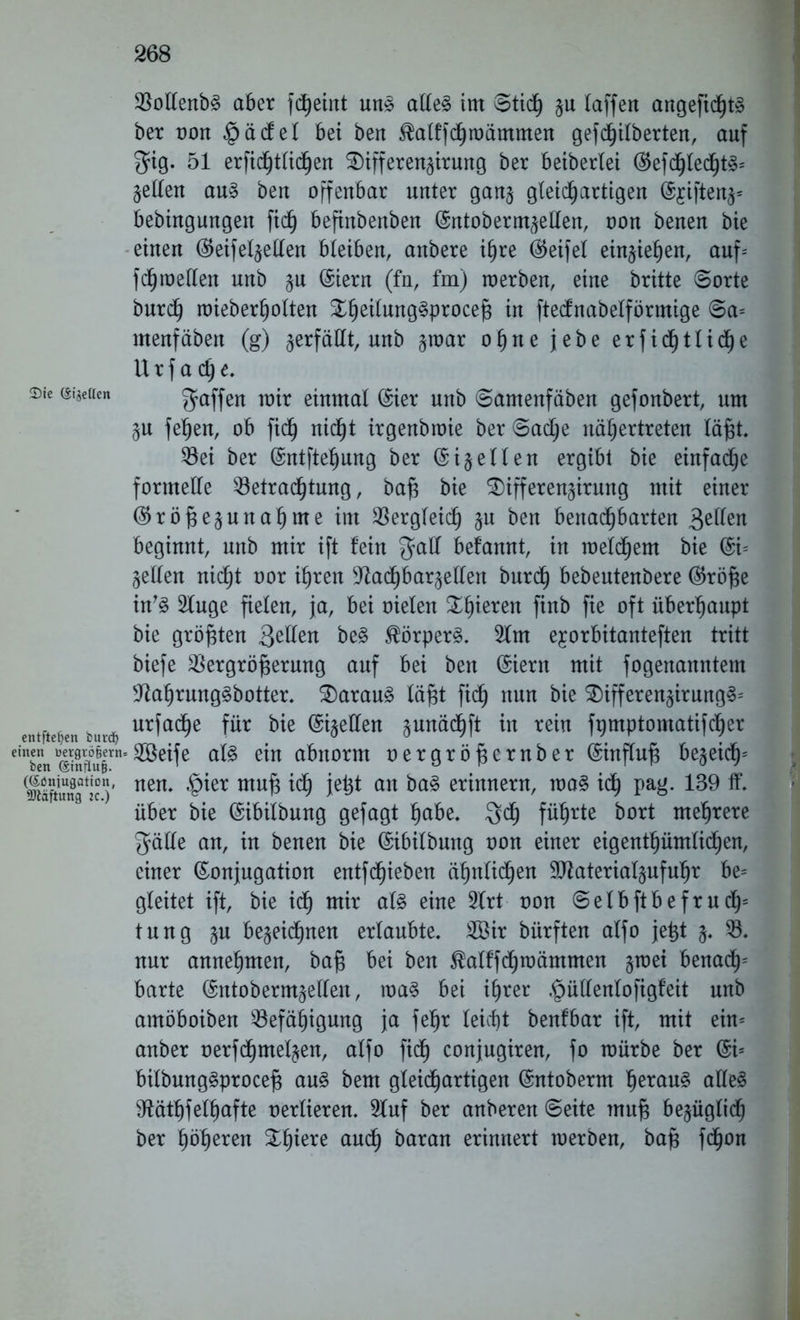 BoIIenbS aber fdjeint un§> alles im ©tich §u (affen angefidjtS ber non $ädel bet ben $alffchioämmen gefieberten, auf gig. 51 erfid)t(ichen SDifferen^irung ber beiberiet (S5efd^led^t^= gelten aus ben offenbar unter ganj gleichartigen @jiftenj= bebingungen fid) befinbenben Kntoberntkellen, oon benen bie einen Keifelkeffen bleiben, anbere ihre Keifet entgehen, auf-' fd) mellen unb §u Kiern (fn, fm) toerben, eine britte ©orte burch mieberholten SieüungSprocejs in ftednabelförmige ©a= menfäben (g) verfällt, unb §toar ohne jebe er fi tätliche Urf a i e. sie Metren gaffen wir einmal Kier unb ©amenfäben gefonbert, um §u fehen, ob fidf) nicht irgenbtoie ber ©adje näh er treten läßt. 53ei ber Kntftehung ber Kik eilen ergibt bie einfache formelle Betrachtung, ba£j bie ^ifferengirung mit einer ($röf3e§unal)me int Bergleidf) §u ben benachbarten 3eIIen beginnt, unb mir ift fein gaff befannt, in meliem bie Ki= gellen nicht oor ihren Machbarkeiten burch bebeutenbere Kräfte in'S 5Iuge fielen, ja, bei nieten gieren ftnb fie oft überhaupt bie größten gellen öeS Körpers. 51m exorbitanteren tritt biefe Bergröftermtg auf bei beit Kiern mit fogenanntem MaftrungSbotter. daraus läßt fid) nun bie 2)ifferenkirung3= entfielen biudi urfac§e fü? bie (Sigellen kunäcftft in rein fpmptomatifcher einb?n @Srns^®e^e e*n a&norm uergröfternber (Sinfluß begeich* (läftui?gatio' nen* mu£ ^ ie^t on ^ erinnern, maS ich pag. 139 ff. über bie Kibilbung gefagt habe. gef) führte bort mehrere gälte an, in benen bie Kibilbmtg non einer eigentümlichen, einer Konjugation entfliehen ä^nlid^en SMaterialkufufjr be= gleitet ift, bie idfj mir als eine 51rt non ©eIbftbefrud^ tung ku bekeichnen erlaubte. 5Bir bürften alfo jeßt k. 53. nur annehmen, baß bei ben $alffchmämmen k^ei benach= barte Kntoberntkellen, maS bei ihrer ^üllenlofigfeit unb amöboiben Befähigung ja fefjr leicht benfbar ift, mit ein* anber oerfdhmelken, alfo fiel) conjugiren, fo mürbe ber Ki= bilbungSproceft aus bem gleichartigen Kntoberm heraus alles Mäthfeihafte nerlieren. 51uf ber anberen ©eite muft beküglidf) ber höheren %tyxxz auch baran erinnert toerben, baft fefjon