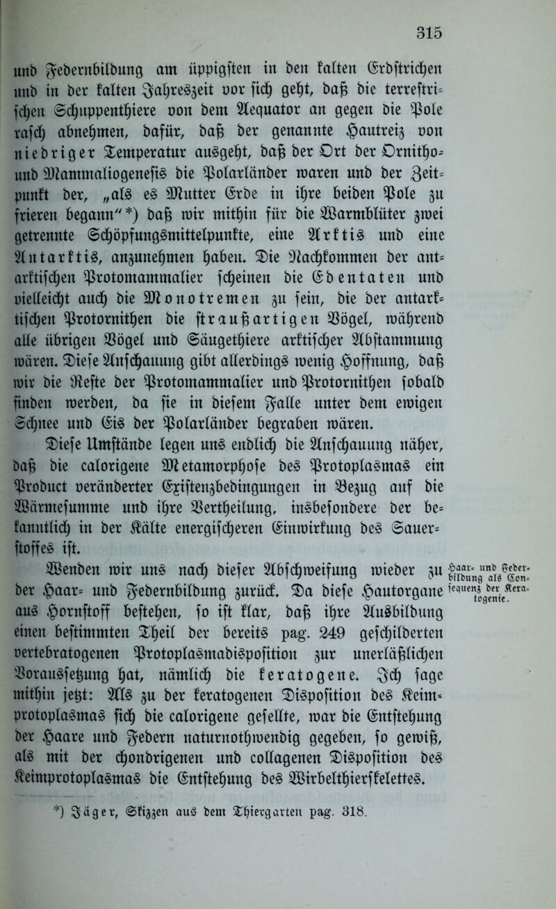 unb gebernbilbung am iippigften in ben falten (5rbftrid)en unb in ber falten Qaljre^eit oor fic^ geht, baß bie terreftri= fdjeit Wappentiere non bem Slequator an gegen bie ^ole rafdfj abnehmen, bafüt, baß ber genannte §autrei§ non niebriger Temperatur au^geht, baß ber Ort ber Ornitho^ unb 9ftammaliogenefi£ bie ^olarlänber maren unb ber $eit= punft ber, „als e§ Butter (5rbe in ihre beiben $ßole $u frieren begann7' *) baß toir mithin für bie Warmblüter §mei getrennte ©chöpfung§mittelpunfte, eine 2trfti3 unb eine 2lutarfti§, an^une^men haben. Oie *ftachfommen ber ant= arftifchen ^rotomammalier ffeinen bie (5b entaten unb oielleid)t auch bieülttonotremen gu fein, bie ber autark tifd^en ^rotornitfjen bie ftrauß artigen Söögel, währettb alle übrigen 35ögel unb ©augetfjiere arftifcher Slbftammung mären. Oiefe 2lnfdhauung gibt allerbingä wenig Hoffnung, baß roir bie Otefte ber ^rotomammalier unb ^rotornit^en fobalb finben werben, ba fie in biefem ^alle unter bem emigen Schnee unb (5i3 ber ^olartänber begraben waren, Oiefe Umftänbe legen un§ entließ bie 2lnfchauung näher, baß bie calorigene etamorphofe be§ $rotopla§ma§ ein ^robuct oeränberter ^iften^bebingungen in ^öejug auf bie Wärntefumme unb ihre $ertheilung, inSbefonbere ber be* f’anntlid) in ber $älte energifdjeren ©inmirfung be3 Sauer* ftoffeö ift. Wenben mir un£ nad) biefer 2lbfd()meifung mieber ber $aar= unb gebernbilbung §urücf. Oa biefe ^autorgane ,cqucnt^enrieÄera'' aus $ornftoff befielen, fo ift flar, baß ihre iluäbilbung einen beftimmten Tl)eil ber bereite pag. 249 gefdjilberten oertebratogenen $rotopla£mabi3pofitiou §ur unerläßlichen $orau§feßung §at, nämlich bie feratogene. $dh fage mithin jeßt: §u ber feratogenen OiSpofition be§ $eint'- protopla3ma§ fidh bie calorigene gefeilte, mar bie (5ntftehung ber £aare unb Gebern naturnofhmenbig gegeben, fo gewiß, als mit ber d)onbrigenen unb collagenen OiSpofition be3 teintprotopla3ma§ bie (5ntftehung be§ Wirbelthierffelette§,