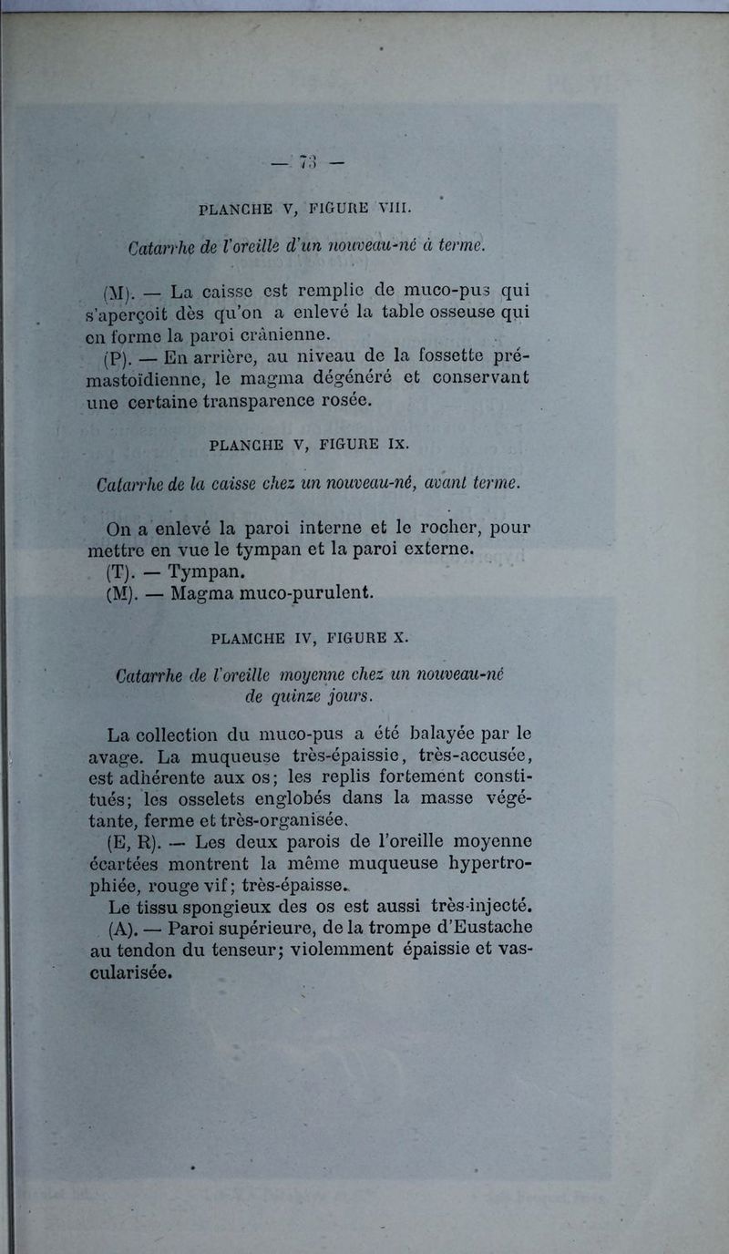 Catarrhe de Voreille d'un nouveau-né à terme. (M). — La caisse est remplie de muco-pus qui s’aperçoit dès qu’on a enlevé la table osseuse qui en forme la paroi crânienne. (P). — En arrière, au niveau de la fossette pré- mastoïdienne, le magma dégénéré et conservant une certaine transparence rosée. PLANCHE V, FIGURE IX. Catarrhe de la caisse chez un nouveau-né, avant terme. On a enlevé la paroi interne et le rocher, pour mettre en vue le tympan et la paroi externe. (T). — Tympan. (M). — Magma muco-purulent. PLAMCHE IV, FIGURE X. Catarrhe de l'oreille moyenne chez un nouveau-né de quinze jours. La collection du muco-pus a été balayée par le avage. La muqueuse très-épaissie, très-accusée, est adhérente aux os ; les replis fortement consti- tués; les osselets englobés dans la masse végé- tante, ferme et très-organisée. (E, R). Les deux parois de l’oreille moyenne écartées montrent la même muqueuse hypertro- phiée, rouge vif ; très-épaisse. Le tissu spongieux des os est aussi très-injecté. (A). — Paroi supérieure, de la trompe d’Eustache au tendon du tenseur; violemment épaissie et vas- cularisée.