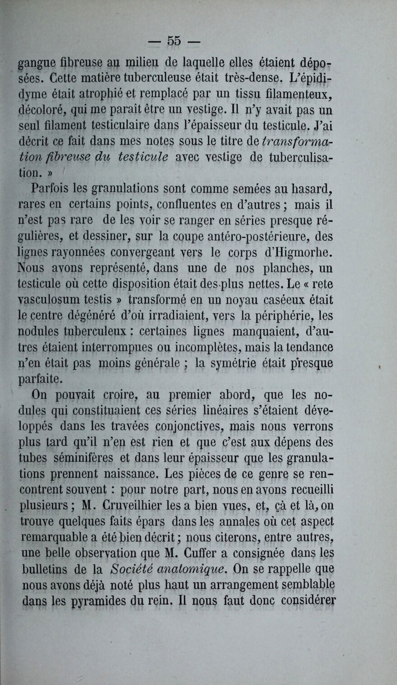 gangue fibreuse au milieu de laquelle elles étaient dépo- sées. Cette matière tuberculeuse était très-dense. L’épidi- dyme était atrophié et remplacé par un tissu filamenteux, décoloré, qui me paraît être un vestige. Il n’y avait pas un seul filament testiculaire dans l’épaisseur du testicule. J’ai décrit ce fait dans mes notes sous le titre de transforma- tion fibreuse du testicule avec vestige de tuberculisa- tion. » Parfois les granulations sont comme semées au hasard, rares en certains points, confluentes en d’autres ; mais il n’est pas rare de les voir se ranger en séries presque ré- gulières, et dessiner, sur la coupe antéro-postérieure, des lignes rayonnées convergeant vers le corps d’Higmorhe. Nous avons représenté, dans une de nos planches, un testicule où cette disposition était desqfius nettes. Le « rete vasculosum testis » transformé en un noyau caséeux était le centre dégénéré d’où irradiaient, vers la périphérie, les nodules tuberculeux : certaines lignes manquaient, d’au- tres étaient interrompues ou incomplètes, mais la tendance n’en était pas moins générale ; la symétrie était presque parfaite. On pouvait croire, au premier abord, que les no- dules qui constituaient ces séries linéaires s’étaient déve- loppés dans les travées conjonctives, mais nous verrons plus tard qu’il n’en est rien et que c’est aux dépens des tubes séminifères et dans leur épaisseur que les granula- tions prennent naissance. Les pièces de ce genre se ren- contrent souvent : pour notre part, nous en avons recueilli plusieurs ; M. Cruveilhier les a bien vues, et, çà et là, on trouve quelques faits épars dans les annales où cet aspect remarquable a été bien décrit ; nous citerons, entre autres, une belle observation que M. Cuffer a consignée dans les bulletins de la Société anatomique. On se rappelle que nous avons déjà noté plus haut un arrangement semblable dans les pyramides du rein. Il nous faut donc considérer