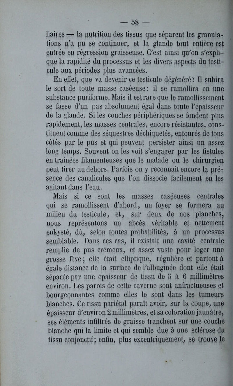 liaires — la nutrition des tissus que séparent les granula- tions n’a pu se continuer, et la glande tout entière est entrée en régression graisseuse. C’est ainsi qu’on s’expli- que la rapidité du processus et les divers aspects du testi- cule aux périodes plus avancées. En effet, que va devenir ce testicule dégénéré? Il subira le sort de toute masse caséeuse : il se ramollira en une substance puriforme. Mais il est rare que le ramollissement se fasse d’un pas absolument égal dans toute l’épaisseur de la glande. Si les couches périphériques se fondent plus rapidement, les masses centrales, encore résistantes, cons- tituent comme des séquestres déchiquetés, entourés de tous côtés par le pus et qui peuvent persister ainsi un assez long temps. Souvent on les voit s’engager par les fistules en traînées filamenteuses que le malade ou le chirurgien peut tirer au dehors. Parfois on y reconnaît encore la pré- sence des canalicules que l’on dissocie facilement en les agitant dans l’eau. Mais si ce sont les masses caséeuses centrales qui se ramollissent d’abord, un foyer se formera au milieu du testicule, et, sur deux de nos planches, nous représentons un abcès véritable et nettement enkysté, dû, selon toutes probabilités, à un processus semblable. Dans ces cas, il existait une cavité centrale remplie de pus crémeux, et assez vaste pour loger une grosse fève ; elle était elliptique, régulière et partout à égale distance de la surface de l’albuginée dont elle était séparée par une épaisseur de tissu de 5 à 6 millimètres environ. Les parois de cette caverne sont anfractueuses et bourgeonnantes comme elles le sont dans les tumeurs blanches. Ce tissu pariétal paraît avoir, sur la coupe, une épaisseur d’environ 2 millimètres, et sa coloration jaunâtre, ses éléments infiltrés de graisse tranchent sur une couche blanche qui la limite et qui semble due à une sclérose du tissu conjonctif; enfin, plus excentriquement, se trouve le