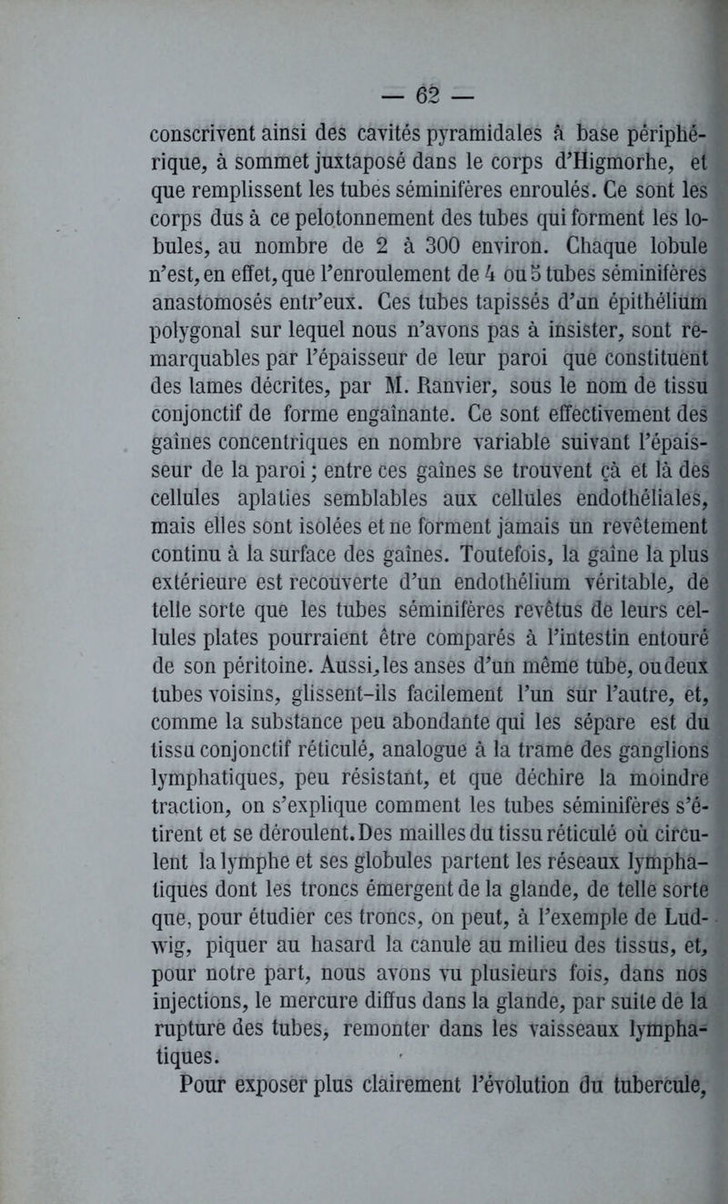 conscrivent ainsi des cavités pyramidales à base périphé- rique, à sommet juxtaposé dans le corps d’Higmorhe, et que remplissent les tubes séminifères enroulés. Ce sont les corps dus à ce pelotonnement des tubes qui forment les lo- bules, au nombre de 2 à 300 environ. Chaque lobule n’est, en effet, que l’enroulement de 4 ou 5 tubes séminifères anastomosés entr’eux. Ces tubes tapissés d’un épithélium polygonal sur lequel nous n’avons pas à insister, sont re- marquables par l’épaisseur de leur paroi que constituent des lames décrites, par M. Ranvier, sous le nom de tissu conjonctif de forme engainante. Ce sont effectivement des gaines concentriques en nombre variable suivant l’épais- seur de la paroi ; entre ces gaines se trouvent çà et là des cellules aplaties semblables aux cellules endothéliales, mais elles sont isolées et ne forment jamais un revêtement continu à la surface des gaines. Toutefois, la gaine la plus extérieure est recouverte d’un endothélium véritable,, de telle sorte que les tubes séminifères revêtus de leurs cel- lules plates pourraient être comparés à l’intestin entouré de son péritoine. Aussi., les anses d’un même tube, ou deux tubes voisins, glissent-ils facilement l’un sur l’autre, et, comme la substance peu abondante qui les sépare est du tissu conjonctif réticulé, analogue à la trame des ganglions lymphatiques, peu résistant, et que déchire la moindre traction, on s’explique comment les tubes séminifères s’é- tirent et se déroulent. Des mailles du tissu réticulé où circu- lent la lymphe et ses globules partent les réseaux lympha- tiques dont les troncs émergent de la glande, de telle sorte que, pour étudier ces troncs, on peut, à l’exemple de Lud- wig, piquer au hasard la canule au milieu des tissus, et, pour notre part, nous avons vu plusieurs fois, dans nos injections, le mercure diffus dans la glande, par suite de la rupture des tubes, remonter dans les vaisseaux lympha- tiques. Pour exposer plus clairement l’évolution du tubercule,