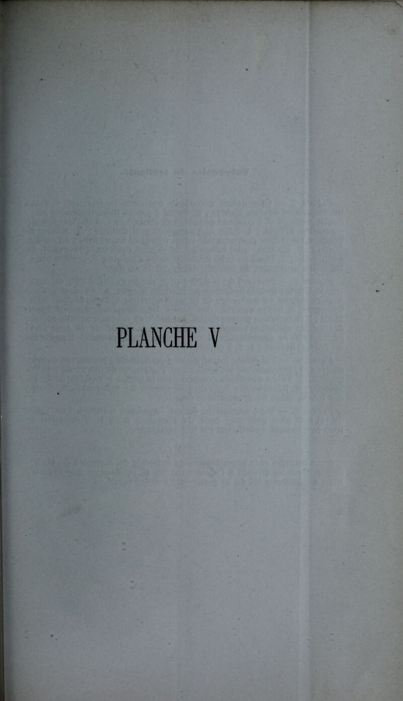 PLANCHE Y