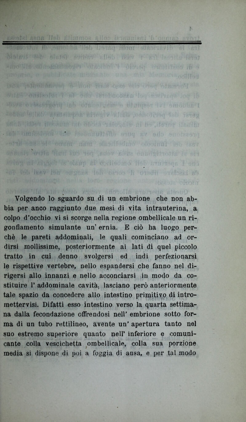 Volgendo lo sguardo su di un embrione che non ab- bia per anco raggiunto due mesi di vita intrauterina, a colpo d’occhio vi si scorge nella regione ombellicale un ri- gonfiamento simulante un’ ernia. E ciò ha luogo per- chè le pareti addominali, le quali cominciano ad or- dirsi mollissime, posteriormente ai lati di quel piccolo tratto in cui denno svolgersi ed indi perfezionarsi le rispettive vertebre, nello espandersi che fanno nel di- rigersi allo innanzi e nello acconciarsi in modo da co- stituire 1’ addominale cavità, lasciano però anteriormente tale spazio da concedere allo intestino primitivo di intro- mettervisi. Difatti esso intestino verso la quarta settima- na dalla fecondazione offrendosi nell’ embrione sotto for- ma di un tubo rettilineo, avente un’ apertura tanto nel suo estremo superiore quanto nell’ inferiore e comuni- cante colla vescichetta ombellicale, colla sua porzione media si dispone di poi a foggia di ansa, e per tal modo