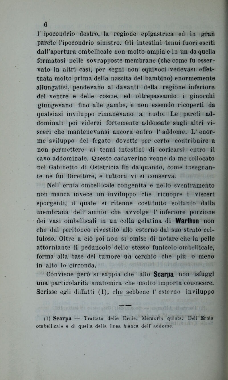 r ipocondrio destro, la regione epigastrica ed in gran parete l’ipocondrio sinistro. Gli intestini tenui fuori esciti dalPapertura ombellicale non molto ampia e in un da quella formatasi nelle sovrapposte membrane (che come fu osser- vato in altri casi, per segni non equivoci vede vasi effet- tuata molto prima della nascita del bambino) enormemente allungatisi, pendevano al davanti della regione inferiore del ventre e delle coscie, ed oltrepassando i ginocchi giungevano fino alle gambe, e non essendo ricoperti da qualsiasi inviluppo rimanevano a nudo. Le pareti ad- dominali poi vidersi fortemente addossate sugli altri vi- sceri che mantenevansi ancora entro r addome. L’ enor- me sviluppo del fegato dovette per certo contribuire a non permettere ai tenui intestini di coricarsi entro il cavo addominale. Questo cadaverino venne da me collocato nel Gabinetto di Ostetricia fin da quando, come insegnan- te ne fui Direttore, e tuttora vi si conserva. Nell’ ernia ombellicale congenita e nello sventramento non manca invece un inviluppo che ricuopre i visceri sporgenti, il quale si ritenne costituito soltanto dalla membrana dell’ amnio che avvolge P inferiore porzione dei vasi ombellicali in un colla gelatina di Warthon non che dal peritoneo rivestito allo esterno dal suo strato cel- luloso. Oltre a ciò poi non si omise di notare che la pelle attorniante il peduncolo dello stesso funicolo ombellicale, forma alla base del tumore un cerchio che più o meno in alto lo circonda. Conviene però si sappia che allo Scarpa non isfuggi una particolarità anatomica che molto importa conoscere. Scrisse egli diffatti (1), che sebbene P esterno inviluppo (1) Scarpa — Trattato delie Ernie. Memoria quinta. Dell’Ernia ombellicale e di quella della linea bianca dell’ addome.