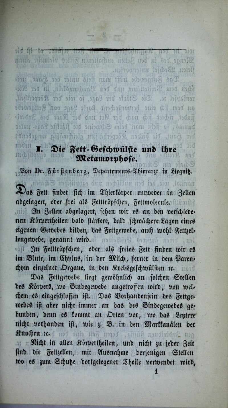 ®te 55ett^©efd^tt)ulfte uttb if)te ^!0tetamvtp1)oie^ 33on Dr. ^ürflenBerg, ^e^artemeutö^Slftierarjt in ^iegnt^. gett finbet ji^ im ^l^^ierforver enü^eber in abgelagert, ober frei a(g getttröpfc^en, gettmoiecule. 3n abgelagert, fe^en toir e6 an ben oerfdbi^^<^^ nen ^örpert^eilen halb [tariere, halb fd()n)ddb^^f Sagen eine^ eigenen @ett)ebe§ bilben, baö gettgen^ebe, auc^i ioo^l geitjel;^ lengenjebe, genannt toirb. . 3n getttrbpfd^en, ober a(6 freiem gett finben toir ee im SSlute, im in ber 9)?ilcb, ferner in bem $aren»^ d^pm einzelner Drgane, in ben ^rebögefd^roülften rc. 2)a^ gettgetoebe liegt getvb^nlicb an folc^en 0teHen be0 Körpers, roo 33inbegen)ebe angetroffen wirb, r>on wel^ dbem e6 eingefcbloffen ift. !I)a6 SBorl^anbenfein be6 gettge«= Webe6 ift aber ntd^t immer an ba^ beö 33inbegewebe0 ge>^ bunben, benn e6 fommt an Drten oor, wo baö Se^tere nid^t oor^anben ift, wie 5. 33. in ben 9J?arffand(en ber ^nod^en k. 9?icbt in allen ^brpert^eilen, unb nic^t jii jeber 3^it finb bie gettjellen, mit ^lu6na^me berjenigen ©teilen >r?o e6 jum ©d^u^e bortgelegener Zi)^\k oerwenbet wirb,