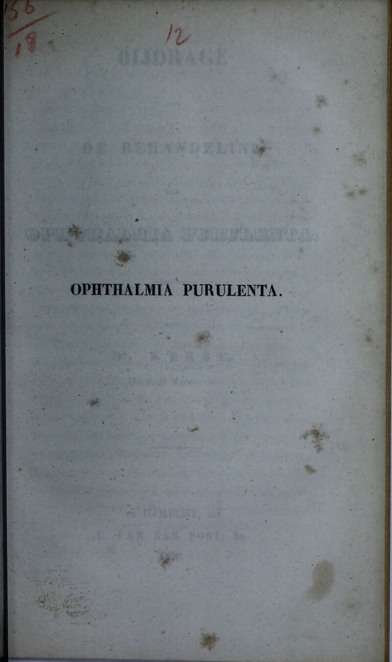 OPHTHALMIA PURULENTA.