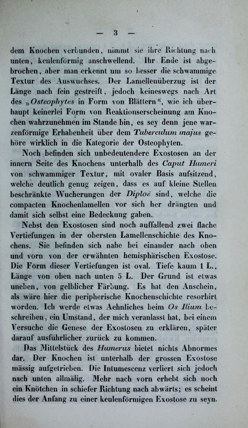 dem Knochen verbunden, nimmt sie ihre Richtung nach unten, keulenförmig anschwellend. Ihr Ende ist abge- brochen , aber man erkennt um so besser die schwammige Textur des Auswuchses. Der Lamellenüberzug ist der Länge nach fein gestreift, jedoch keineswegs nach Art des »Osteophytes in Form von Blättern<(, wie ich über- haupt keinerlei Form von Reaktionserscheinung am Kno- chen wahrzunehmen im Stande bin, es sey denn jene war- zenförmige Erhabenheit über dem Tuberculum majus ge- höre wirklich in die Kategorie der Osteophyten. Noch befinden sich unbedeutendere Exostosen an der innern Seite des Knochens unterhalb des Caput Humeri von schwammiger Textur, mit ovaler Basis aufsilzend, welche deutlich genug zeigen, dass es auf kleine Stellen beschränkte Wucherungen der Diploe sind, welche die compacten Knochenlamellen vor sich her drängten und damit sich selbst eine Bedeckung gaben. Nebst den Exostosen sind noch auffallend zwei flache Vertiefungen in der obersten Lamellenschichte des Kno- chens. Sie befinden sich nahe bei einander nach oben und vorn von der erwähnten hemisphärischen Exostose. Die Form dieser Vertiefungen ist oval. Tiefe kaum 1 L., Länge von oben nach unten 5 L. Der Grund ist etwas uneben, von gelblicher Färbung. Es hat den Anschein, als wäre hier die peripherische Knochenschichte resorbirt worden. Ich w7erde etwas Aehnliches beim Os Ilium be- schreiben, ein Umstand, der mich veranlasst hat, bei einem Versuche die Genese der Exostosen zu erklären, später darauf ausführlicher zurück zu kommen. Das Mittelstück des Humerus bietet nichts Abnormes dar. Der Knochen ist unterhalb der grossen Exostose mässig aufgetrieben. Die Intumescenz verliert sich jedoch nach unten allmälig. Mehr nach vorn erhebt sich noch ein Knötchen in schiefer Richtung nach abwärts; es scheint dies der Anfang zu einer keulenförmigen Exostose zu seyn.