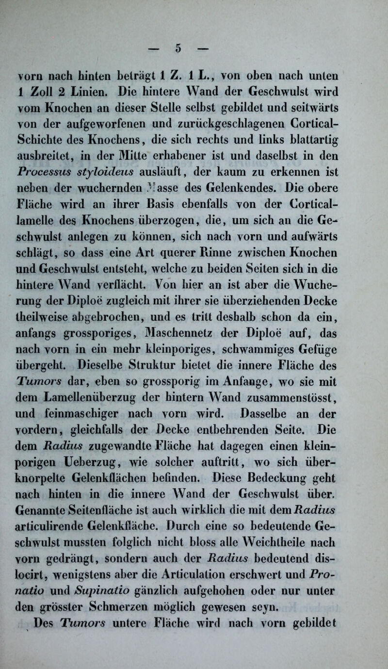 vorn nach hinten betragt 1 Z. 1 L., von oben nach unten 1 Zoll 2 Linien. Die hintere Wand der Geschwulst wird vom Knochen an dieser Stelle selbst gebildet und seitwärts von der aufgeworfenen und zurückgeschlagenen Cortical- Schichte des Knochens, die sich rechts und links blattartig ausbreitet, in der Mitte erhabener ist und daselbst in den Processus styloideus ausläuft, der kaum zu erkennen ist neben der wuchernden asse des Gelenkendes. Die obere Fläche wird an ihrer Basis ebenfalls von der Cortical- lamelle des Knochens überzogen, die, um sich an die Ge- schwulst anlegen zu können, sich nach vorn und aufwärts schlägt, so dass eine Art querer Rinne zwischen Knochen und Geschwulst entsteht, welche zu beiden Seiten sich in die hintere Wand verflächt. Von hier an ist aber die Wuche- rung der Diploe zugleich mit ihrer sie überziehenden Decke theilweise abgebrochen, und es tritt deshalb schon da ein, anfangs grossporiges, Maschennetz der Diploe auf, das nach vorn in ein mehr kleinporiges, schwammiges Gefüge übergeht. Dieselbe Struktur bietet die innere Fläche des Tumors dar, eben so grossporig im Anfänge, wo sie mit dem Lamellenüberzug der hintern Wand zusammenstösst, und feinmaschiger nach vorn wird. Dasselbe an der vordem, gleichfalls der Decke entbehrenden Seite. Die dem Radius zugewandte Fläche hat dagegen einen klein- porigen Ueberzug, wie solcher auftritt, wo sich über- knorpelte Gelenktlächen befinden. Diese Bedeckung geht nach hinten in die innere Wand der Geschwulst über. Genannte Seitenfläche ist auch wirklich die mit dem Radius articulirende Gelenkfläche. Durch eine so bedeutende Ge- schwulst mussten folglich nicht bloss alle Weichtheile nach vorn gedrängt, sondern auch der Radius bedeutend dis- locirt, wenigstens aber die Articulation erschwert und Pro- natio und Supinatio gänzlich aufgehohen oder nur unter den grösster Schmerzen möglich gewesen scyn. Des Tumors untere Fläche wird nach vorn gebildet