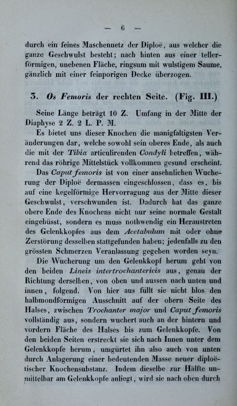 durch ein feines Maschennetz der Diploe, aus welcher die ganze Geschwulst besteht; nach hinten aus einer teller- förmigen, unebenen Fläche, ringsum mit wulstigem Saume, gänzlich mit einer feinporigen Decke überzogen. 3. Os Femoris der rechten Seite. (Fig. III.) Seine Länge beträgt 10 Z. Umfang in der Mitte der Diaphyse 2 Z. 2 L. P. M. Es bietet uns dieser Knochen die manigfaltigsten Ver- änderungen dar, welche sowohl sein oberes Ende, als auch die mit der Tibia articulircnden Condyli betreffen, wäh- rend das rührige Mittelstück vollkommen gesund erscheint. Das Caput femoris ist von einer ansehnlichen Wuche- rung der Diploe dermassen eingeschlossen, dass es, bis auf eine kegelförmige Hervorragung aus der Mitte dieser Geschwulst, verschwunden ist. Dadurch hat das ganze obere Ende des Knochens nicht nur seine normale Gestalt eingebüsst, sondern es muss nothwendig ein Heraustreten des Gelenkkopfes aus dem Acetabulum mit oder ohne Zerstörung desselben stattgefunden haben; jedenfalls zu den grössten Schmerzen Veranlassung gegeben worden seyn. Die Wucherung um den Gelenkkopf herum geht von den beiden Lineis intertrochantericis aus, genau der Richtung derselben, von oben und aussen nach unten und innen, folgend. Von hier aus füllt sie nicht blos den halbmondförmigen Ausschnitt auf der obern Seite des Halses, zwischen Trochanter major und Caput femoris vollständig aus, sondern wuchert auch an der hintern und vordem Fläche des Halses bis zum Gelenkkopfe. Von den beiden Seiten erstreckt sie sich nach Innen unter dem Gelenkkopfe herum , umgürtet ihn also auch von unten durch Anlagerung einer bedeutenden Masse neuer diploe- tischer Knochensubstanz. Indem dieselbe zur Hälfte un- mittelbar am Gelenkkopfe anliegt, wird sic nach oben durch