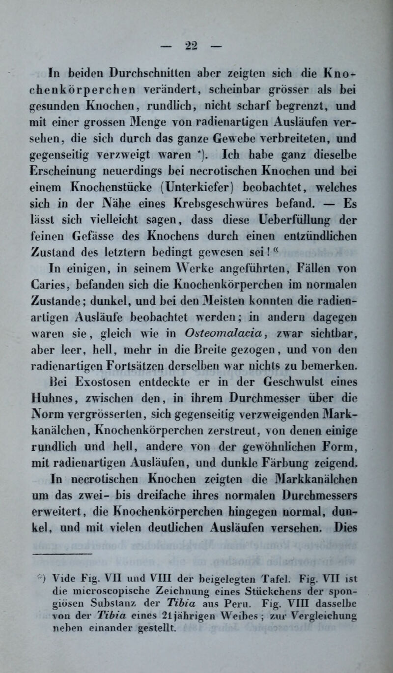 In beiden Durchschnitten aber zeigten sich die Kno- chenkörperchen verändert, scheinbar grösser als bei gesunden Knochen, rundlich, nicht scharf begrenzt, und mit einer grossen Menge von radienartigen Ausläufen ver- sehen, die sich durch das ganze Gewebe verbreiteten, und gegenseitig verzweigt waren *). Ich habe ganz dieselbe Erscheinung neuerdings bei necrotischen Knochen und bei einem Knochenstücke (Unterkiefer) beobachtet, welches sich in der Nähe eines Krebsgeschwüres befand. — Es lässt sich vielleicht sagen, dass diese Ueberfüllung der feinen Gefässe des Knochens durch einen entzündlichen Zustand des letztem bedingt gewesen sei!(< In einigen, in seinem Werke angeführten, Fällen von Caries, befanden sich die Knochenkörperchen im normalen Zustande; dunkel, und bei den Meisten konnten die radien- arligen Ausläufe beobachtet werden; in andern dagegen waren sie, gleich wie in Osteomalacia, zwar sichtbar, aber leer, hell, mehr in die Freite gezogen, und von den radienartigen Fortsätzen derselben war nichts zu bemerken. Bei Exostosen entdeckte er in der Geschwulst eines Huhnes, zwischen den, in ihrem Durchmesser über die Norm vergrösserten, sich gegenseitig verzweigenden Mark- kanälchen, Knochenkörperchen zerstreut, von denen einige rundlich und hell, andere von der gewöhnlichen Form, mit radienartigen Ausläufen, und dunkle Färbung zeigend. In necrotischen Knochen zeigten die Markkanälchen um das zwei- bis dreifache ihres normalen Durchmessers erweitert, die Knochenkörperchen hingegen normal, dun- kel, und mit vielen deutlichen Ausläufen versehen. Dies v) \ide Fig. VII und VIII der beigelegten Tafel. Fig. VII ist die microscopische Zeichnung eines Stückchens der spon- giösen Substanz, der Tibia aus Peru. Fig. VIII dasselbe von der Tibia eines 21 jährigen Weibes; zur Vergleichung neben einander gestellt.