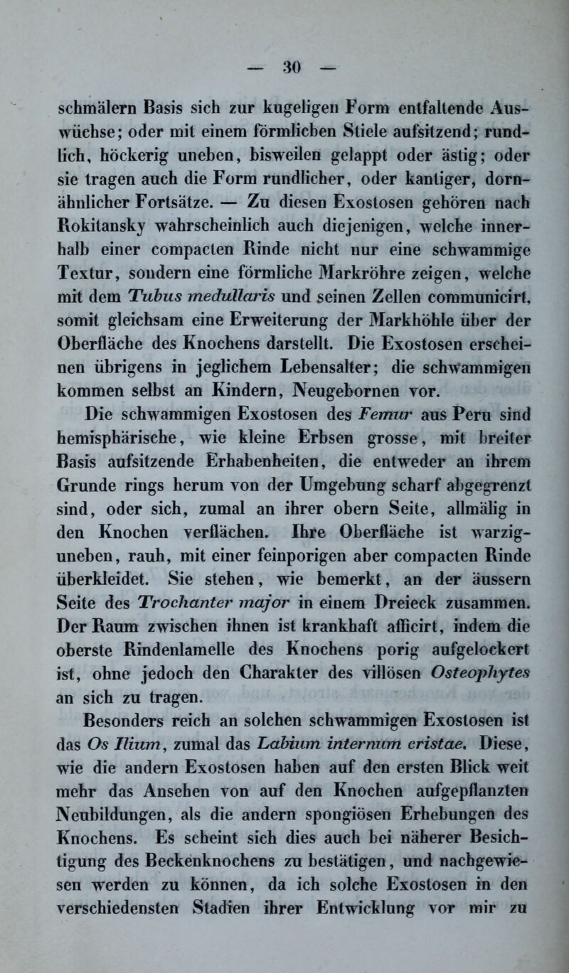 schmälern Basis sich zur kugeligen Form entfallende Aus- wüchse ; oder mit einem förmlichen Stiele aufsitzend; rund- lich, höckerig uneben, bisweilen gelappt oder ästig; oder sie tragen auch die Form rundlicher, oder kantiger, dorn- ähnlicher Fortsätze. — Zu diesen Exostosen gehören nach Rokitansky wahrscheinlich auch diejenigen, welche inner- halb einer compacten Rinde nicht nur eine schwammige Textur, sondern eine förmliche Markröhre zeigen, welche mit dem Tubus medullaris und seinen Zellen coramunicirt, somit gleichsam eine Erweiterung der Markhöhle über der Oberfläche des Knochens darstellt. Die Exostosen erschei- nen übrigens in jeglichem Lebensalter; die schwammigen kommen selbst an Kindern, Neugebornen yor. Die schwammigen Exostosen des Femur aus Peru sind hemisphärische, wie kleine Erbsen grosse, mit breiter Basis aufsitzende Erhabenheiten, die entweder an ihrem Grunde rings herum von der Umgebung scharf abgegrenzt sind, oder sich, zumal an ihrer obern Seite, allmälig in den Knochen verflächen. Ihre Oberfläche ist warzig- uneben, rauh, mit einer feinporigen aber compacten Rinde überkleidet. Sie stehen, wie bemerkt, an der äussern Seite des Trochanter major in einem Dreieck zusammen. Der Raum zwischen ihnen ist krankhaft aflicirt, indem die oberste Rindenlamelle des Knochens porig aufgelockert ist, ohne jedoch den Charakter des villösen Osteophytes an sich zu tragen. Besonders reich an solchen schwammigen Exostosen ist das Os Ilium, zumal das Labium internum cristae. Diese, wie die andern Exostosen haben auf den ersten Blick weit mehr das Ansehen von auf den Knochen aufgepflanzten Neubildungen, als die andern spongiösen Erhebungen des Knochens. Es scheint sich dies auch bei näherer Besich- tigung des Beckenknochens zu bestätigen, und nachgewie- sen werden zu können, da ich solche Exostosen in den verschiedensten Stadien ihrer Entwicklung vor mir zu