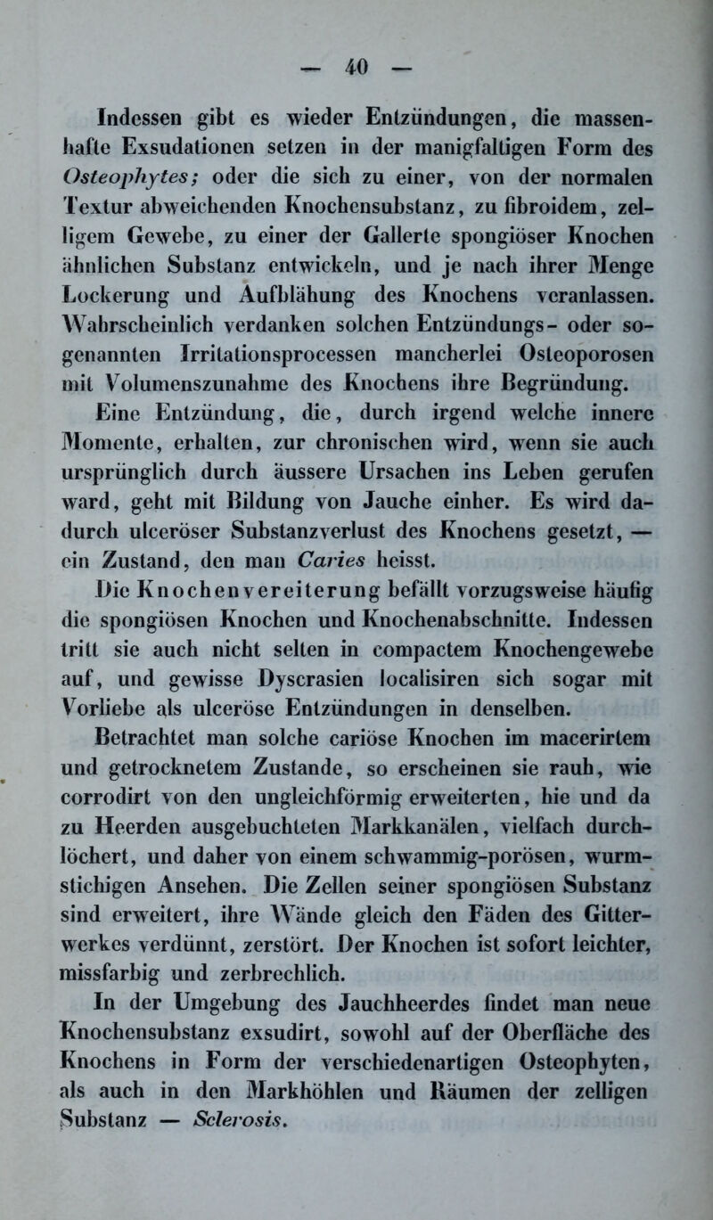Indessen gibt es wieder Entzündungen, die massen- hafte Exsudationen setzen in der manigfaltigen Form des Osteophytes; oder die sich zu einer, von der normalen Textur abweichenden Knochensubstanz, zu fibroidem, zel- ligem Gewebe, zu einer der Gallerte spongiöser Knochen ähnlichen Substanz entwickeln, und je nach ihrer Menge Lockerung und Aufblähung des Knochens veranlassen. Wahrscheinlich verdanken solchen Entzündungs- oder so- genannten Irritationsprocessen mancherlei Osteoporosen mit Volumenszunahme des Knochens ihre Begründung. Eine Entzündung, die, durch irgend welche innere Momente, erhalten, zur chronischen wird, wenn sie auch ursprünglich durch äussere Ursachen ins Leben gerufen ward, geht mit Bildung von Jauche einher. Es wird da- durch ulceröser Substanzverlust des Knochens gesetzt, — ein Zustand, den man Caries heisst. Die Knochen Vereiterung befällt vorzugsweise häufig die spongiösen Knochen und Knochenabschnitte. Indessen tritt sie auch nicht selten in compactem Knochengewebe auf, und gewisse Dyscrasien localisiren sich sogar mit Vorliebe als ulceröse Entzündungen in denselben. Betrachtet man solche cariöse Knochen im macerirtem und getrocknetem Zustande, so erscheinen sie rauh, wie corrodirt von den ungleichförmig erweiterten, hie und da zu Heerden ausgebuchteten Markkanälen, vielfach durch- löchert, und daher von einem schwammig-porösen, wurm- stichigen Ansehen. Die Zellen seiner spongiösen Substanz sind erweitert, ihre Wände gleich den Fäden des Gitter- werkes verdünnt, zerstört. Der Knochen ist sofort leichter, missfarbig und zerbrechlich. In der Umgebung des Jauchheerdes findet man neue Knochensubstanz exsudirt, sowohl auf der Oberfläche des Knochens in Form der verschiedenartigen Osteophyten, als auch in den Markhöhlen und Räumen der zelligen Substanz — Sclerosis.